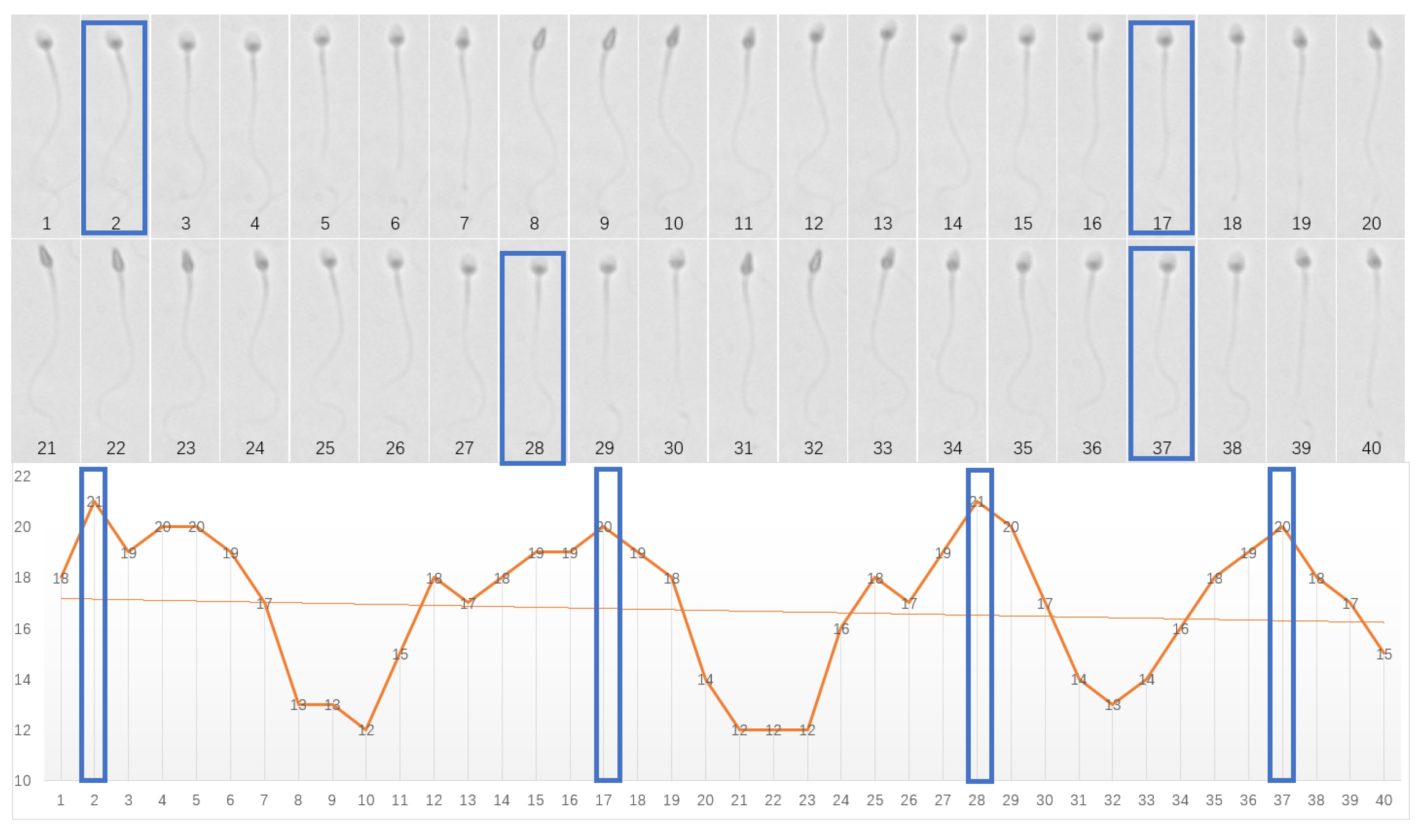 Sensors 25 00592 g004