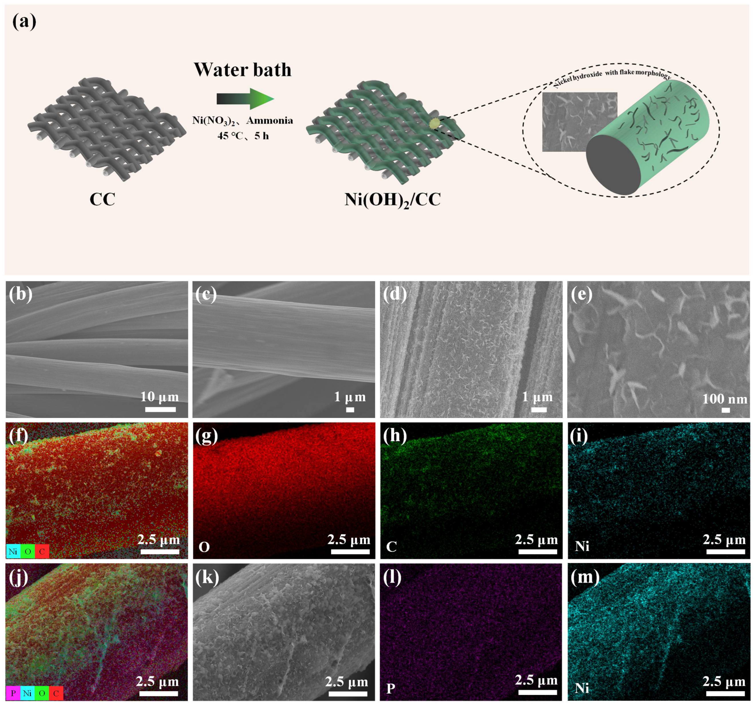 Sensors 25 00597 g001