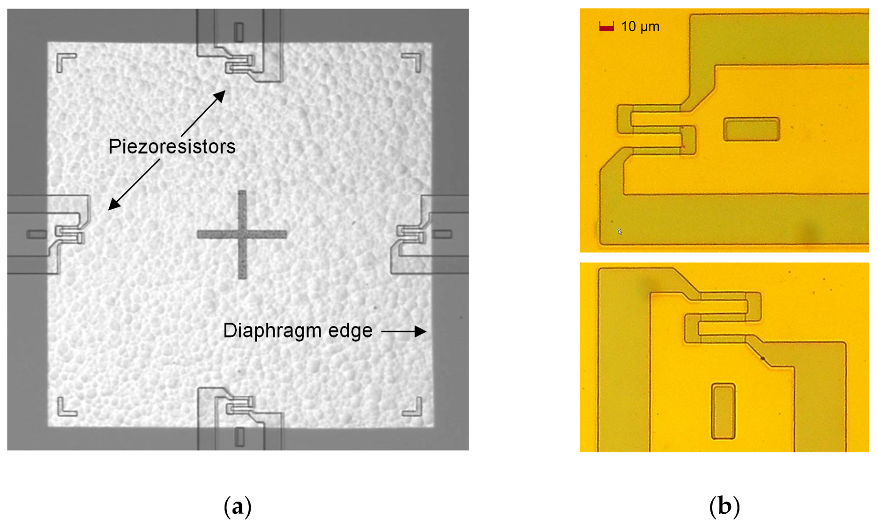 Sensors 25 00600 g010