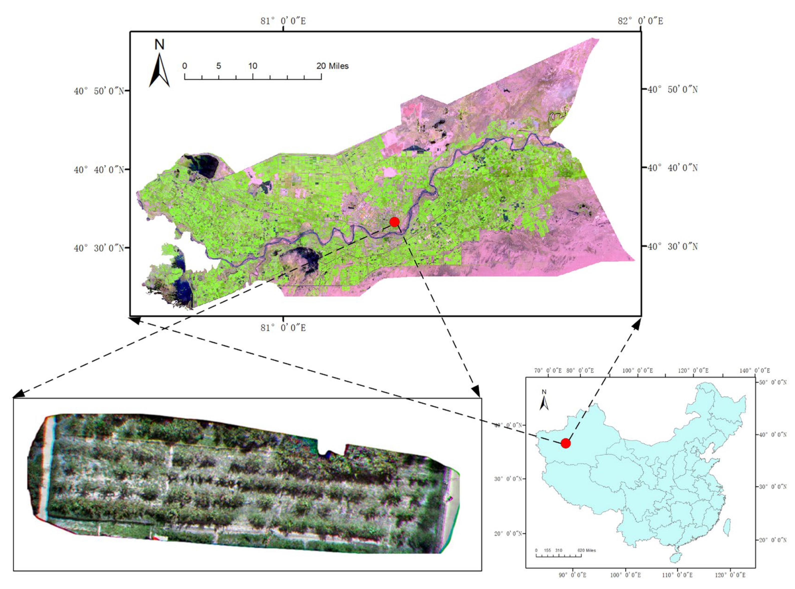 Sensors 25 00618 g001