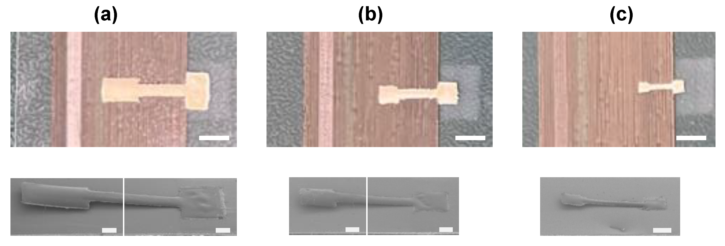 Sensors 25 00629 g004