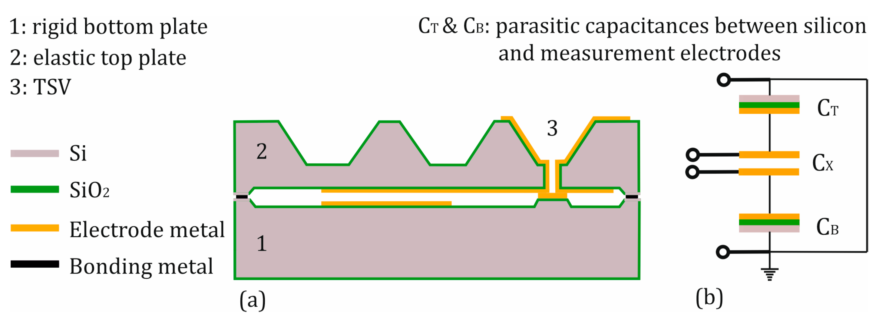 Sensors 25 00636 g004