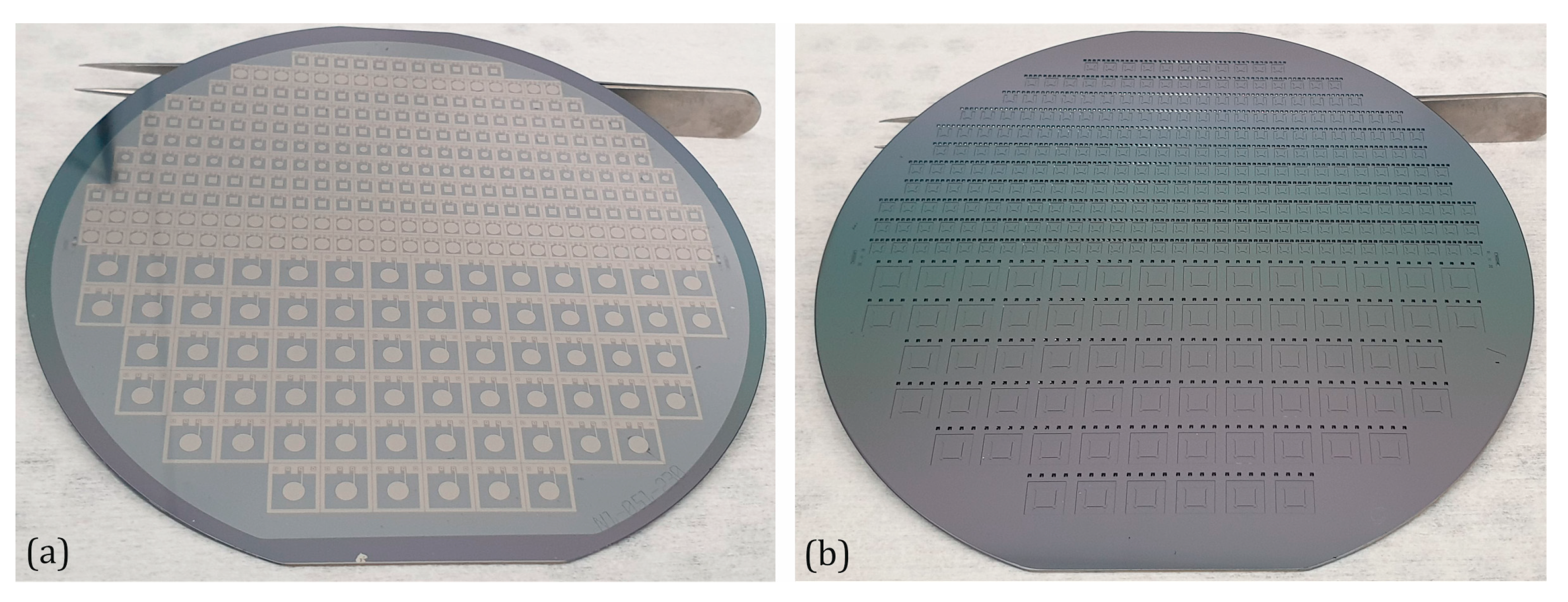 Sensors 25 00636 g011