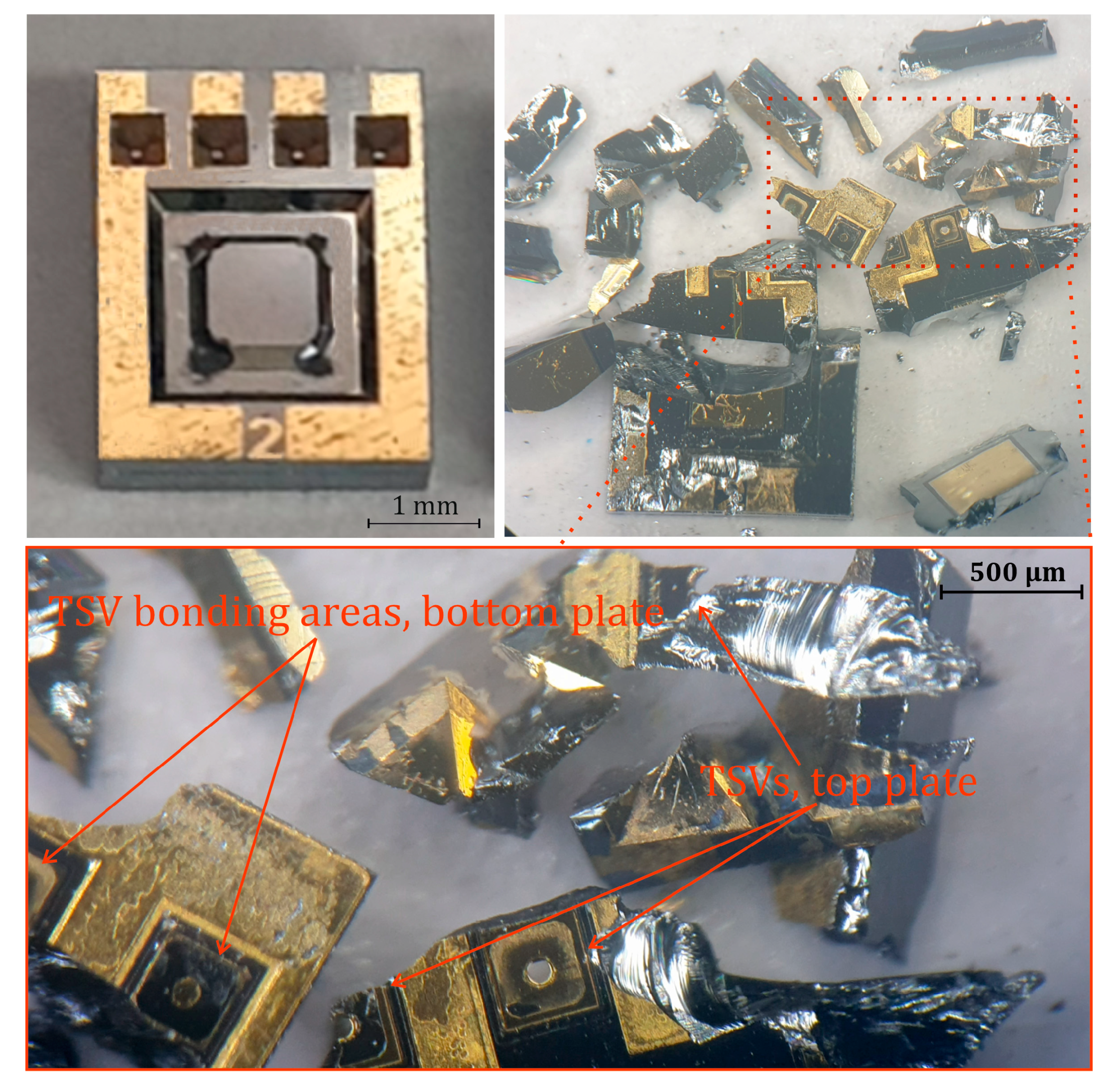 Sensors 25 00636 g013