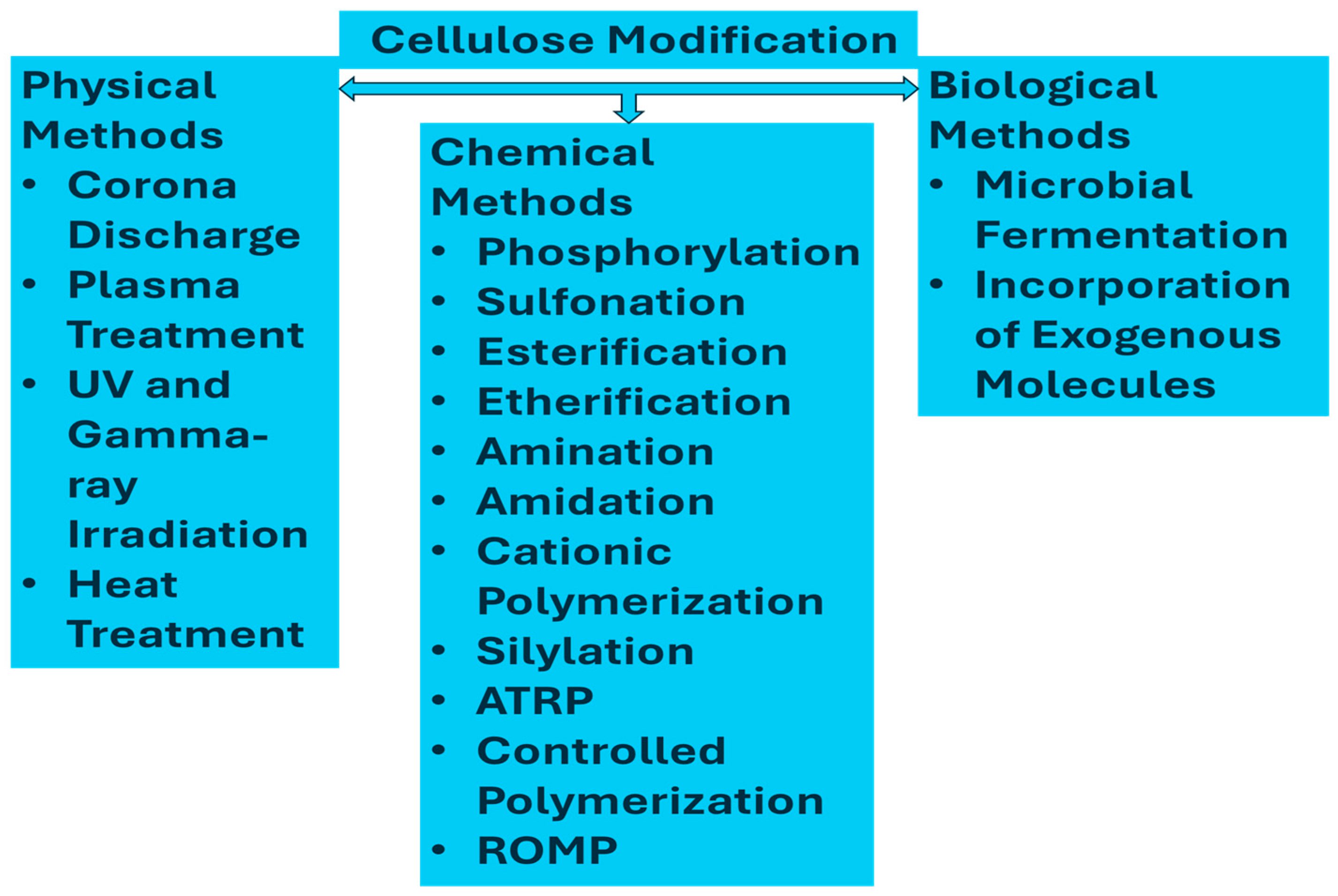 Sensors 25 00645 g002
