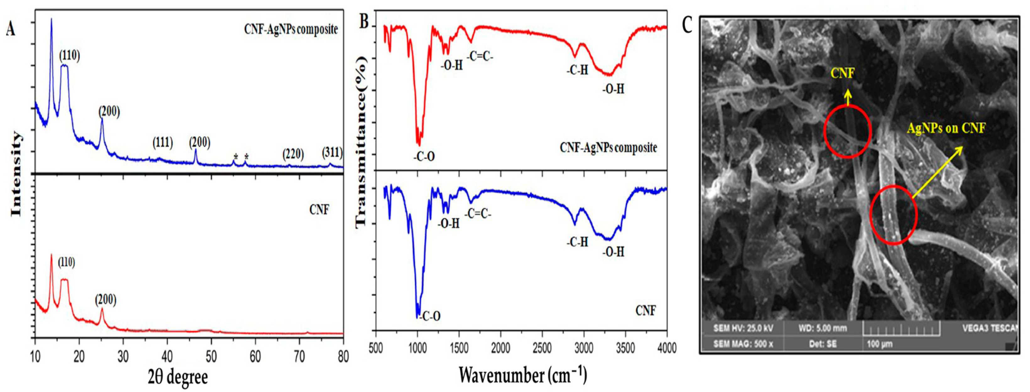 Sensors 25 00645 g004