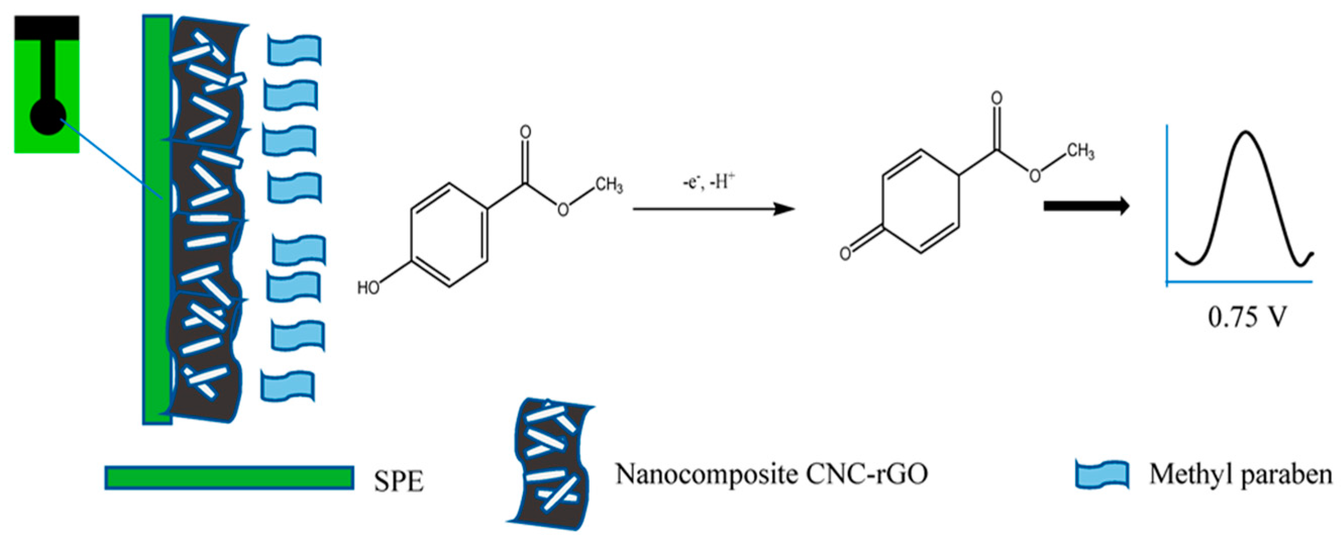 Sensors 25 00645 g006