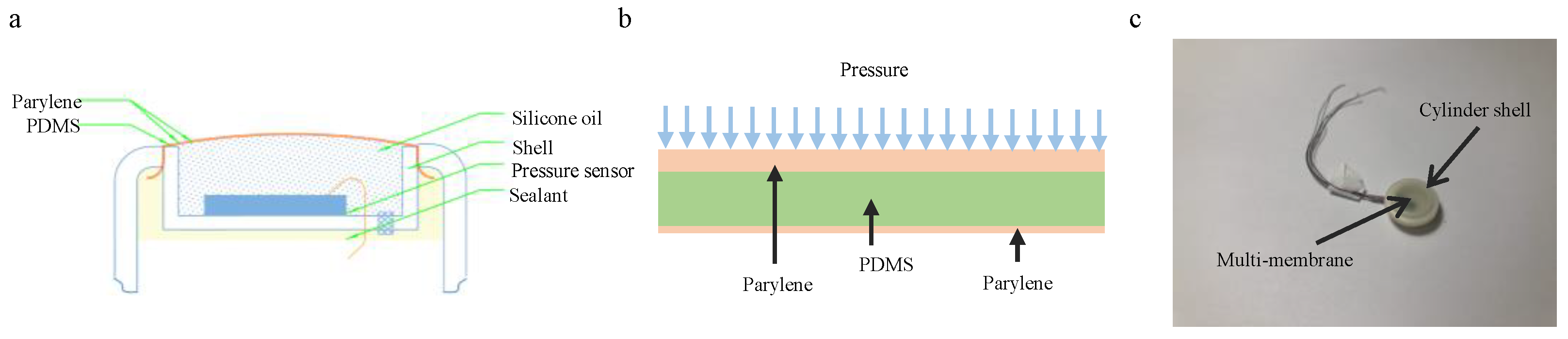 Sensors 25 00651 g002