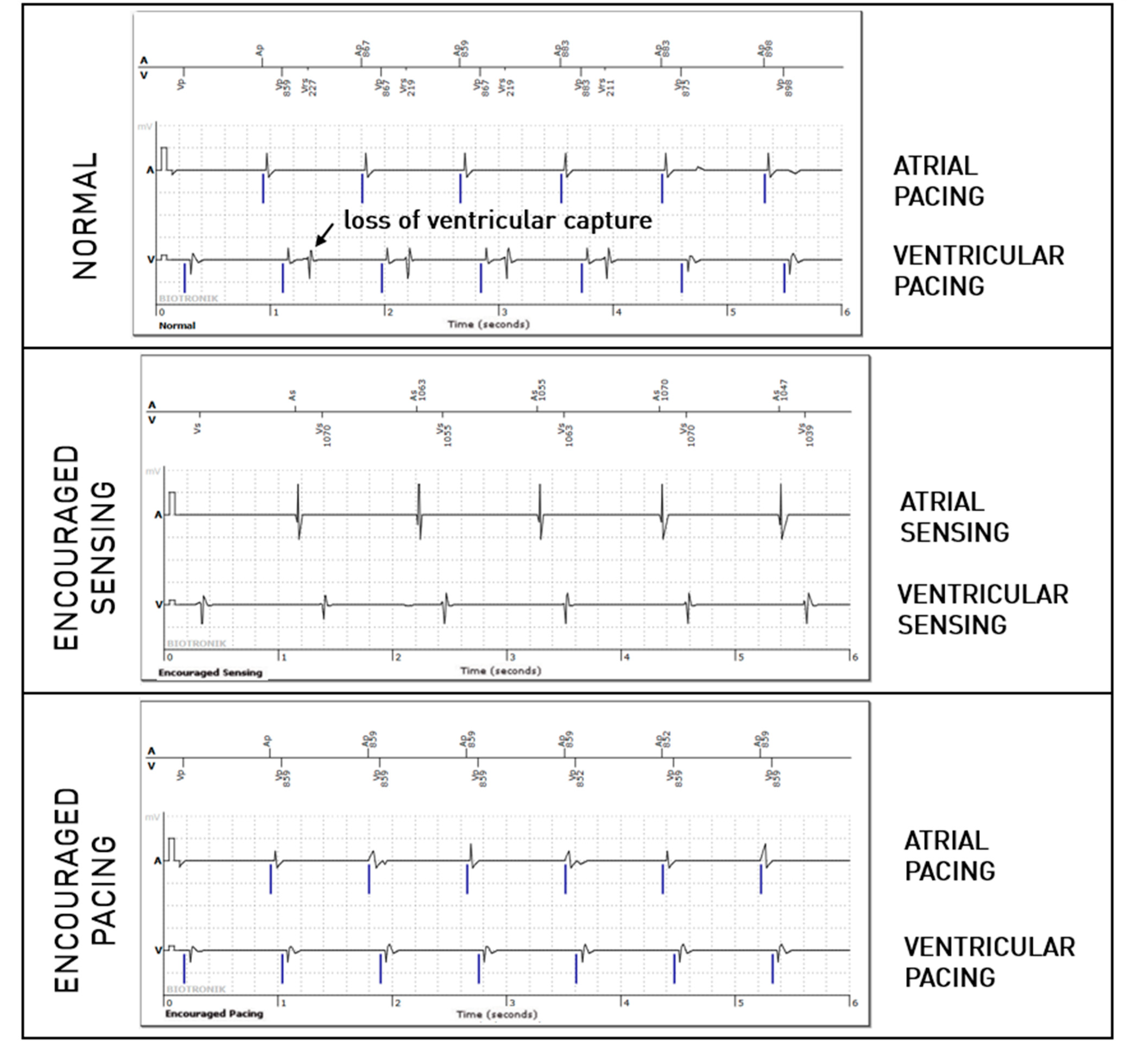 Sensors 25 00656 g004