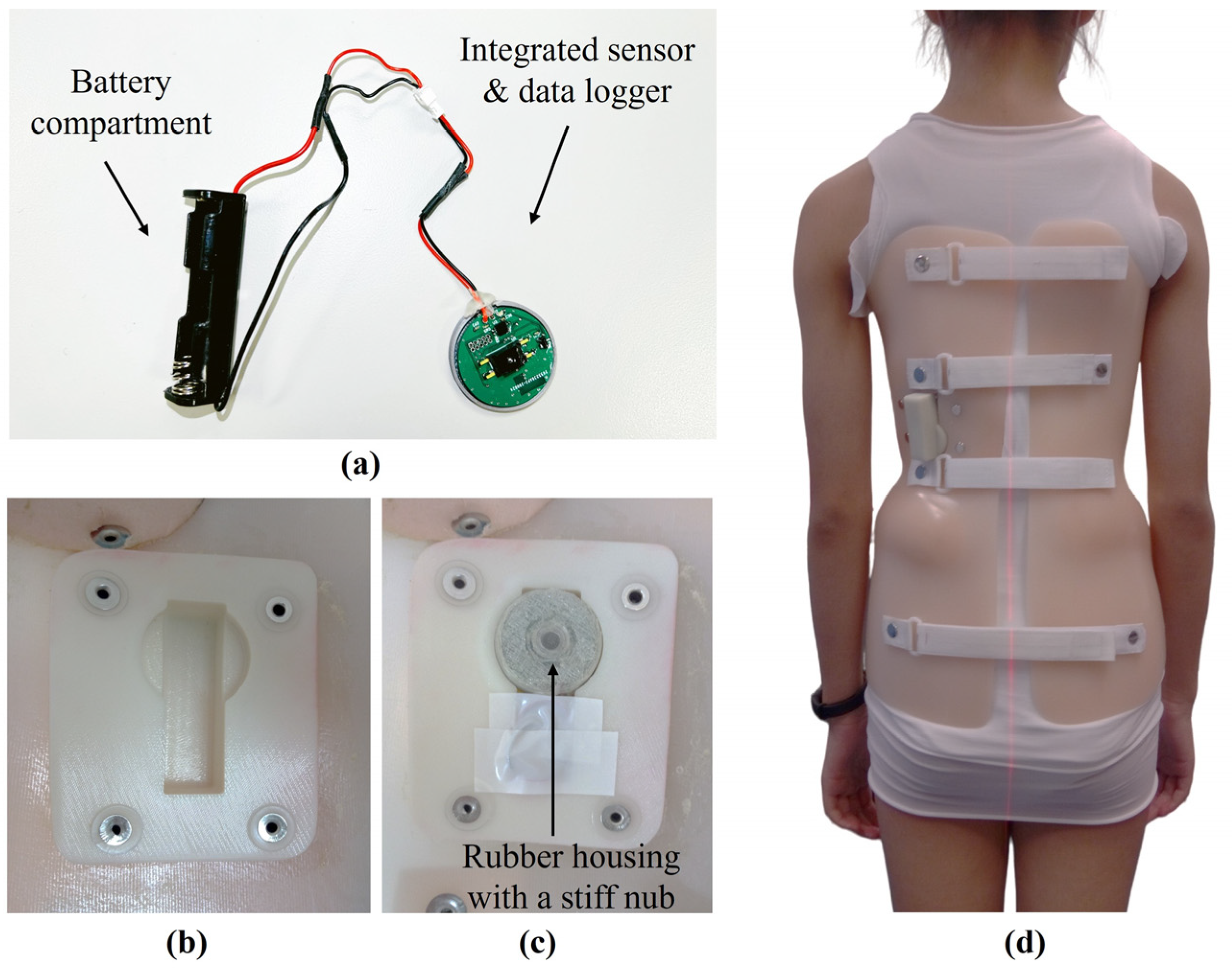 Sensors 25 00686 g001