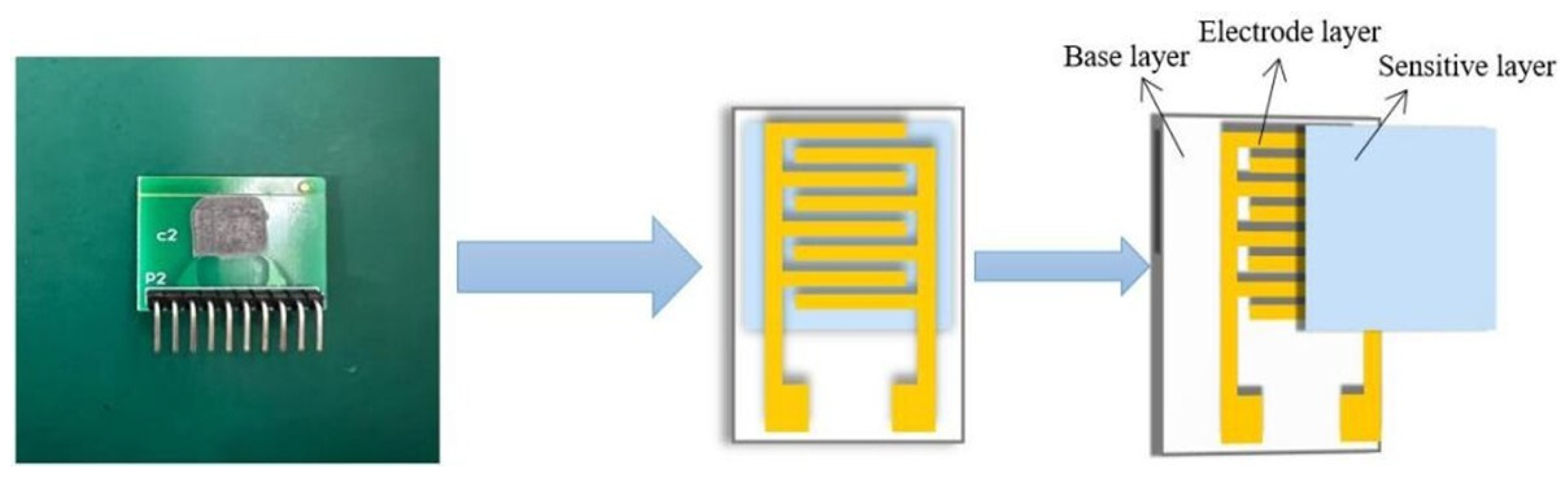 Sensors 25 00691 g001