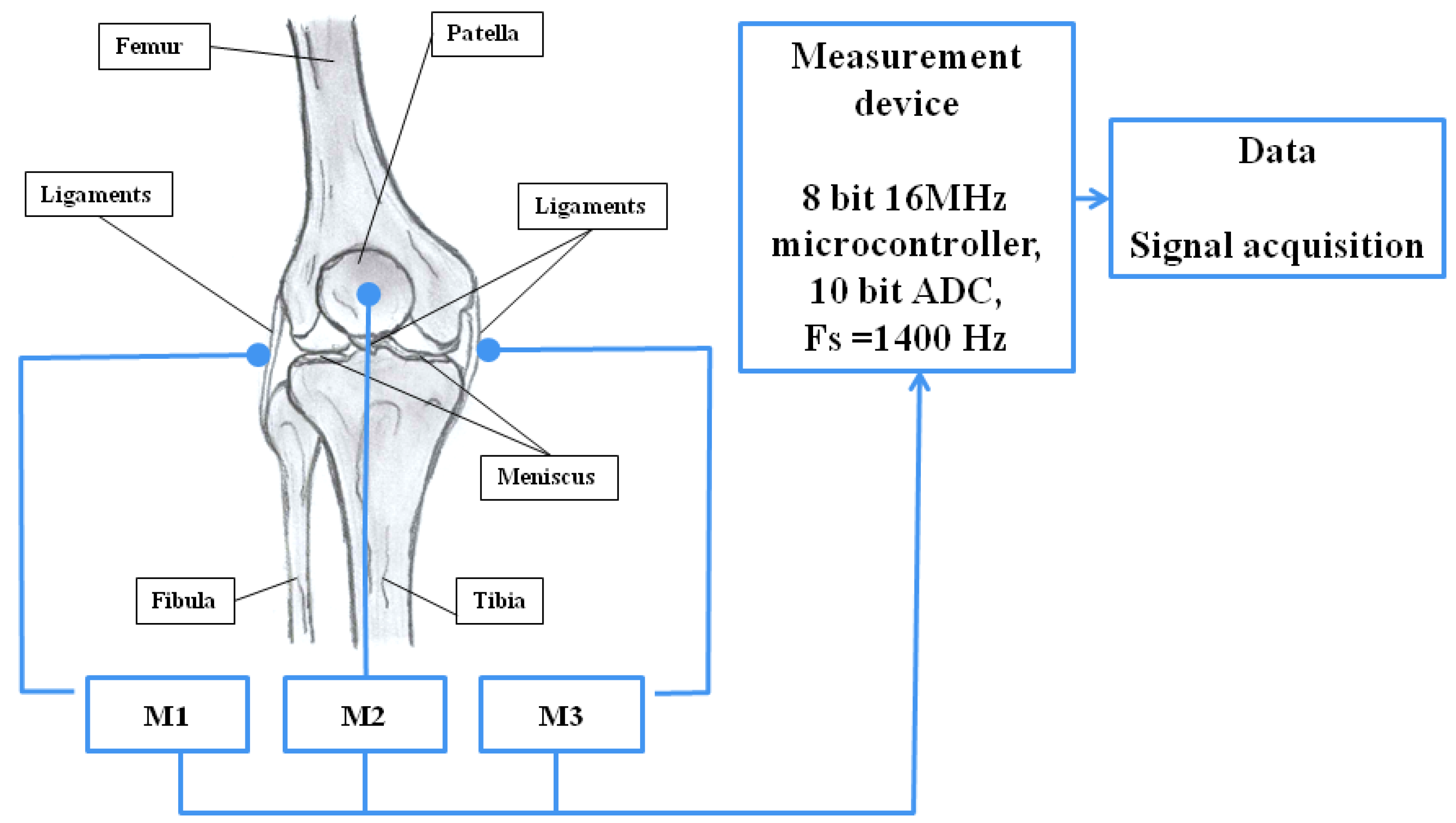 Sensors 25 00706 g001