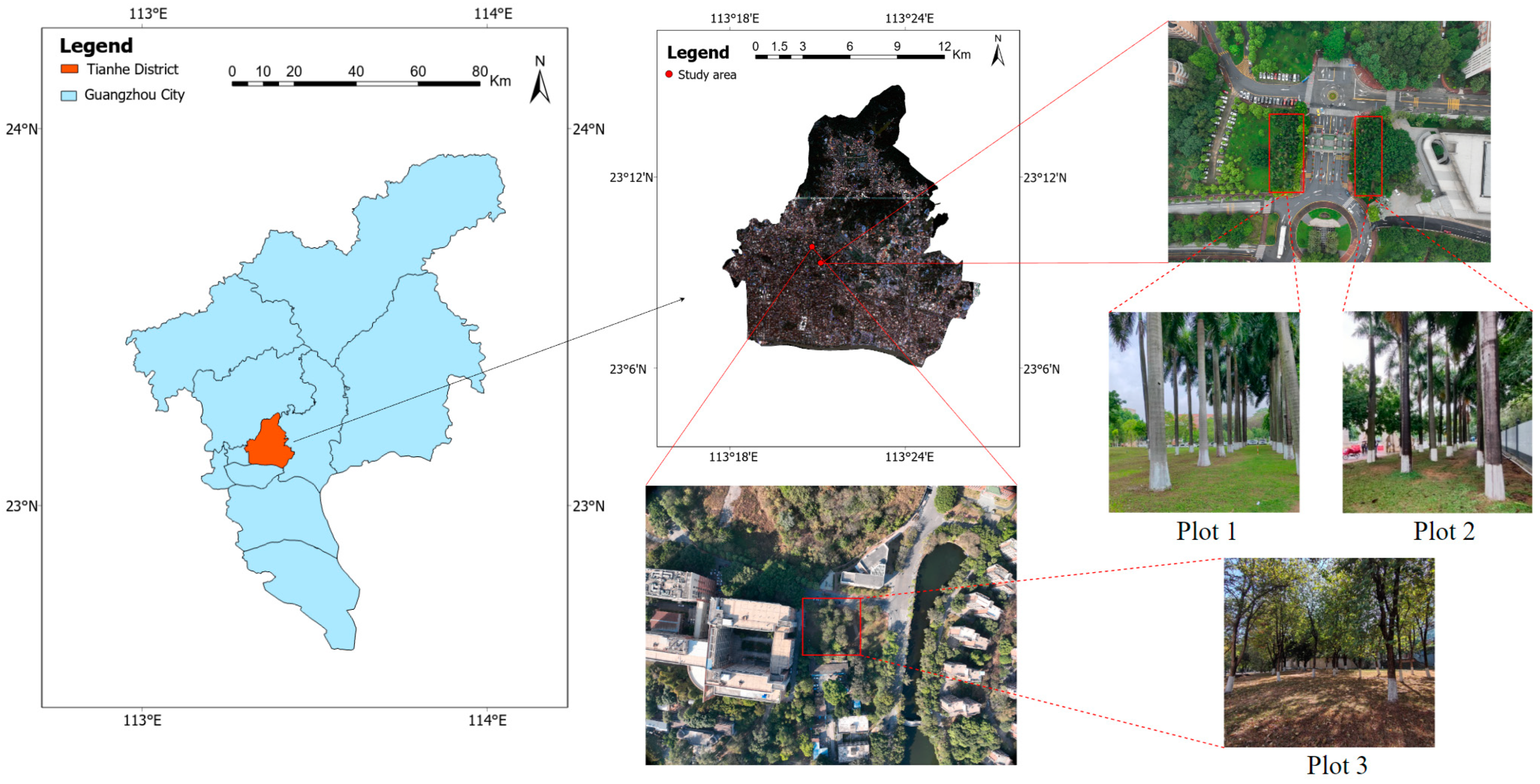 Sensors 25 00714 g001 Sensors 25 00714 g001