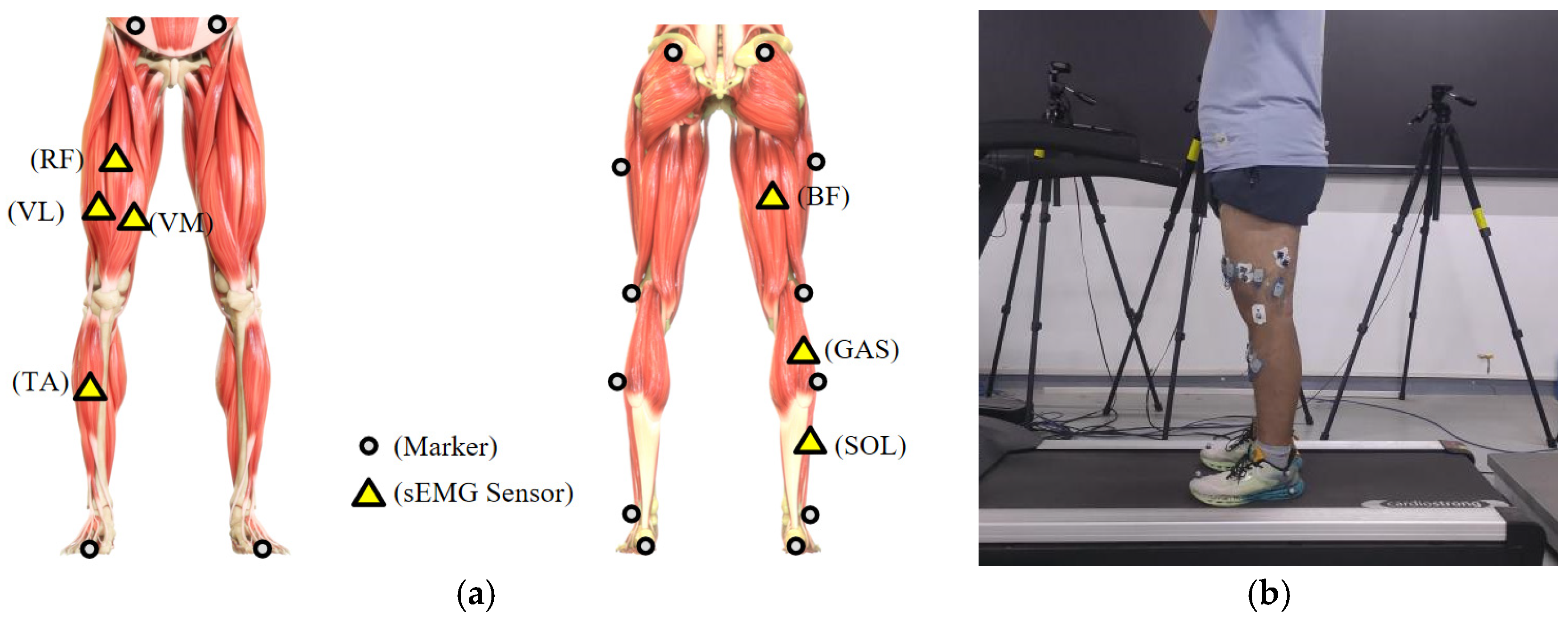 Sensors 25 00719 g001