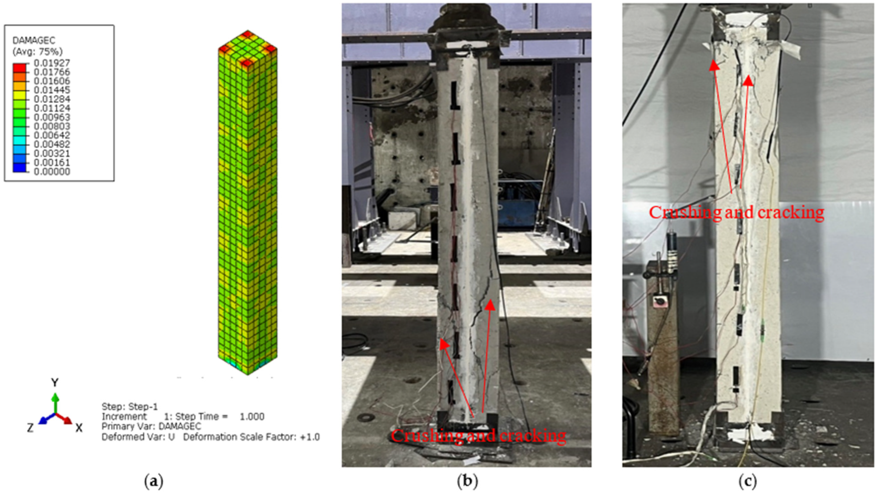 Sensors 25 00741 g015 Sensors 25 00741 g015
