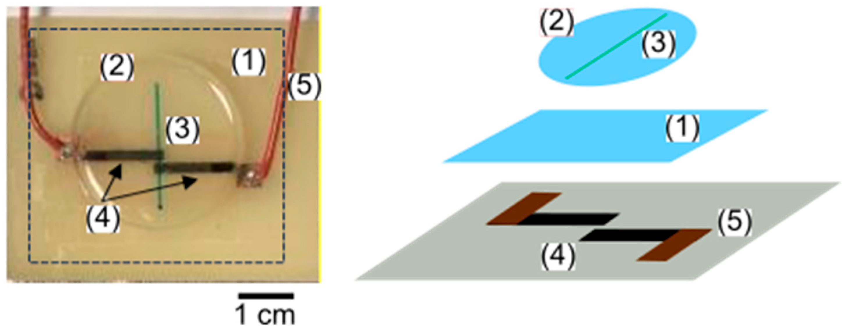 Sensors 25 00775 g002