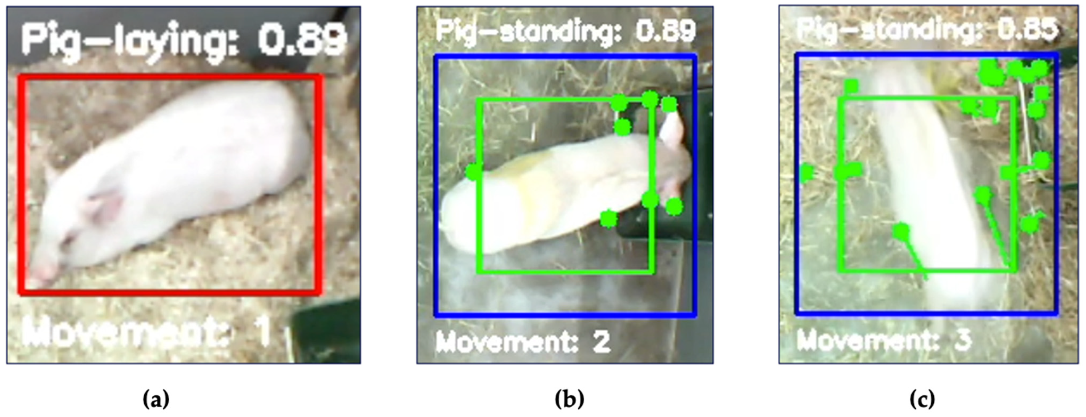 Sensors 25 00785 g009