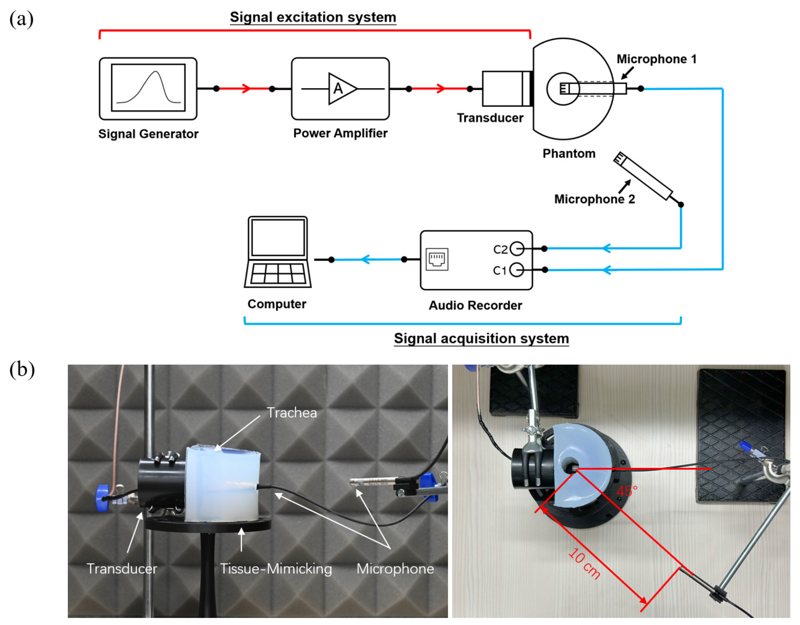 Sensors 25 00802 g001