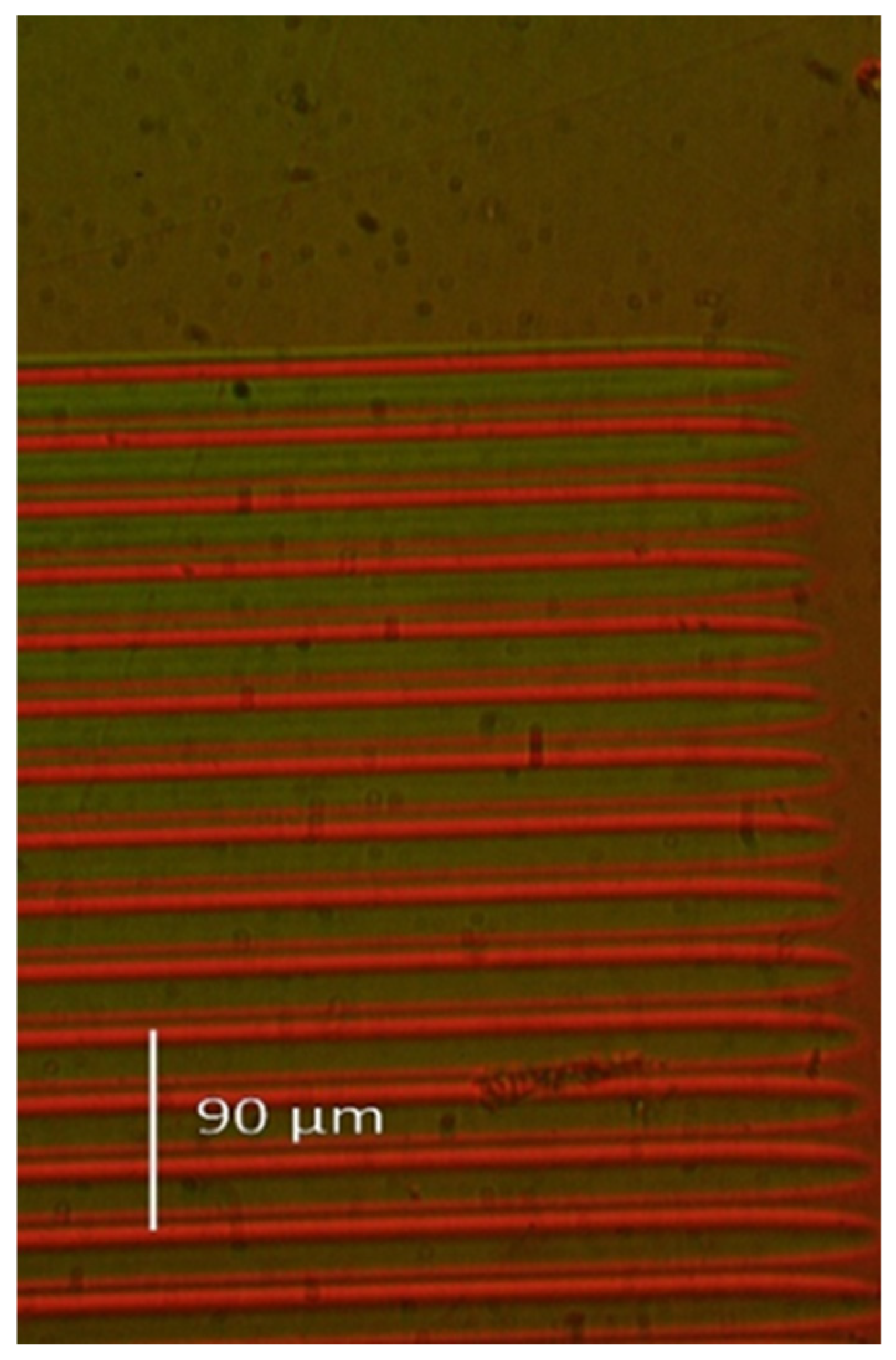 Sensors 25 00804 g005