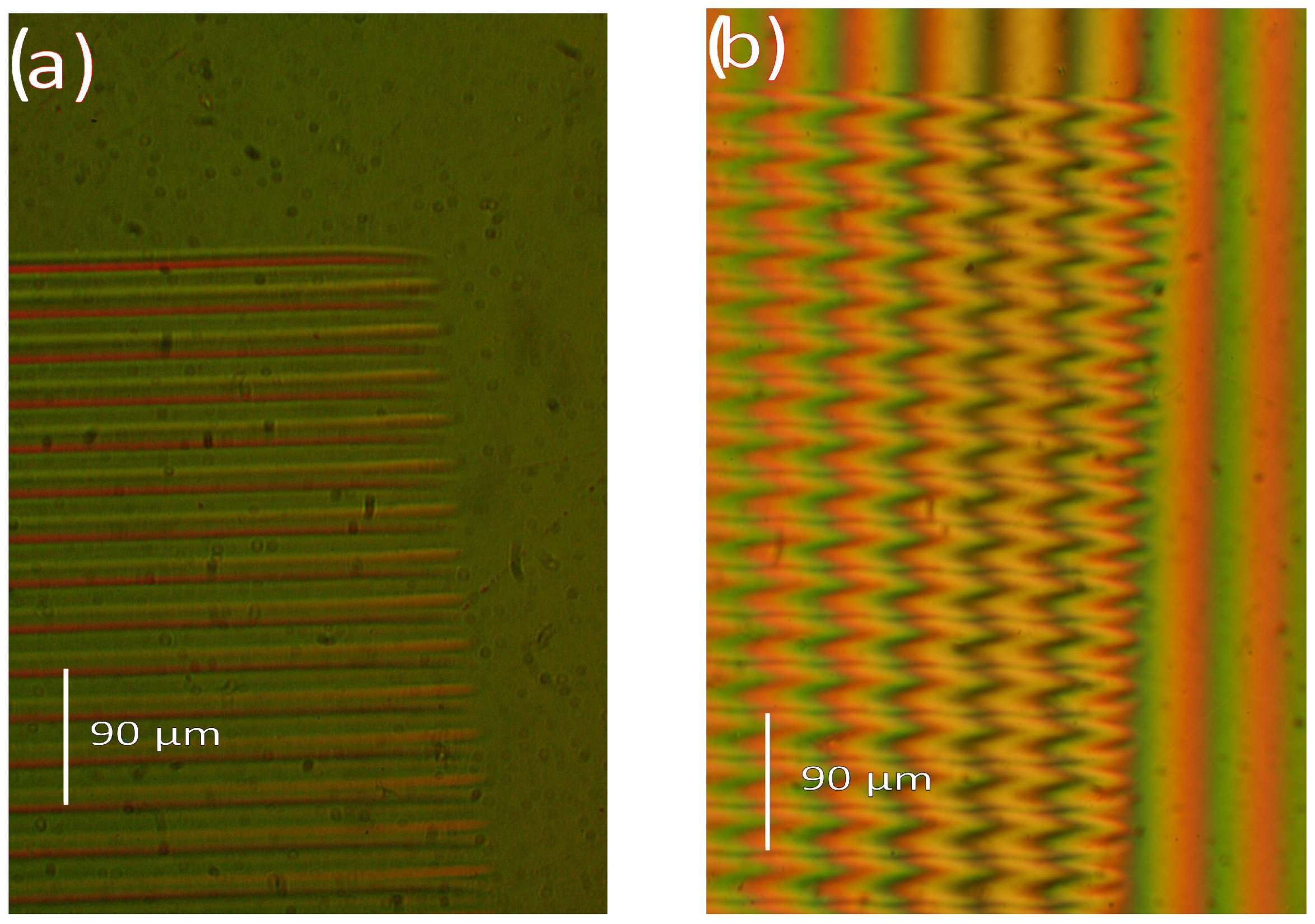 Sensors 25 00804 g006