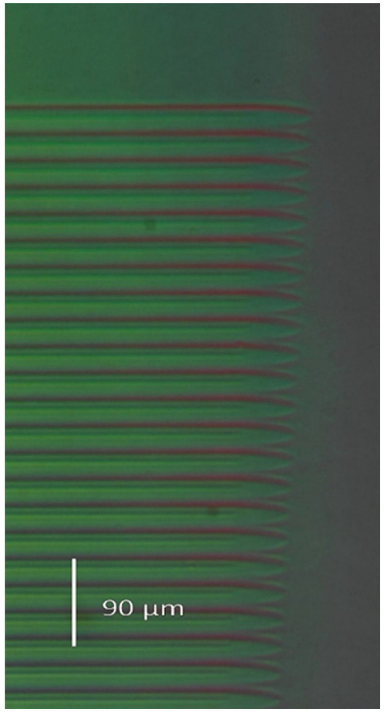 Sensors 25 00804 g008