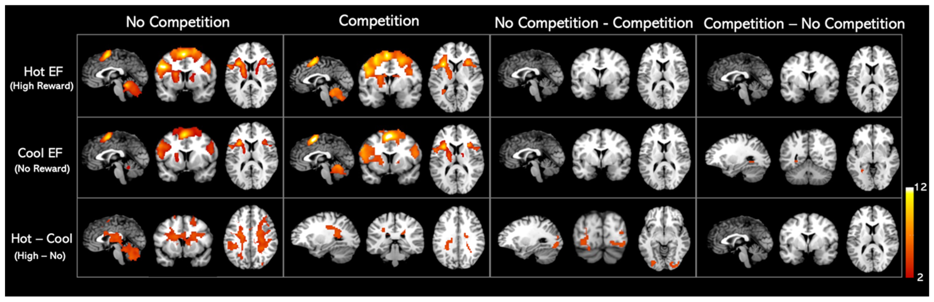 Sensors 25 00806 g003