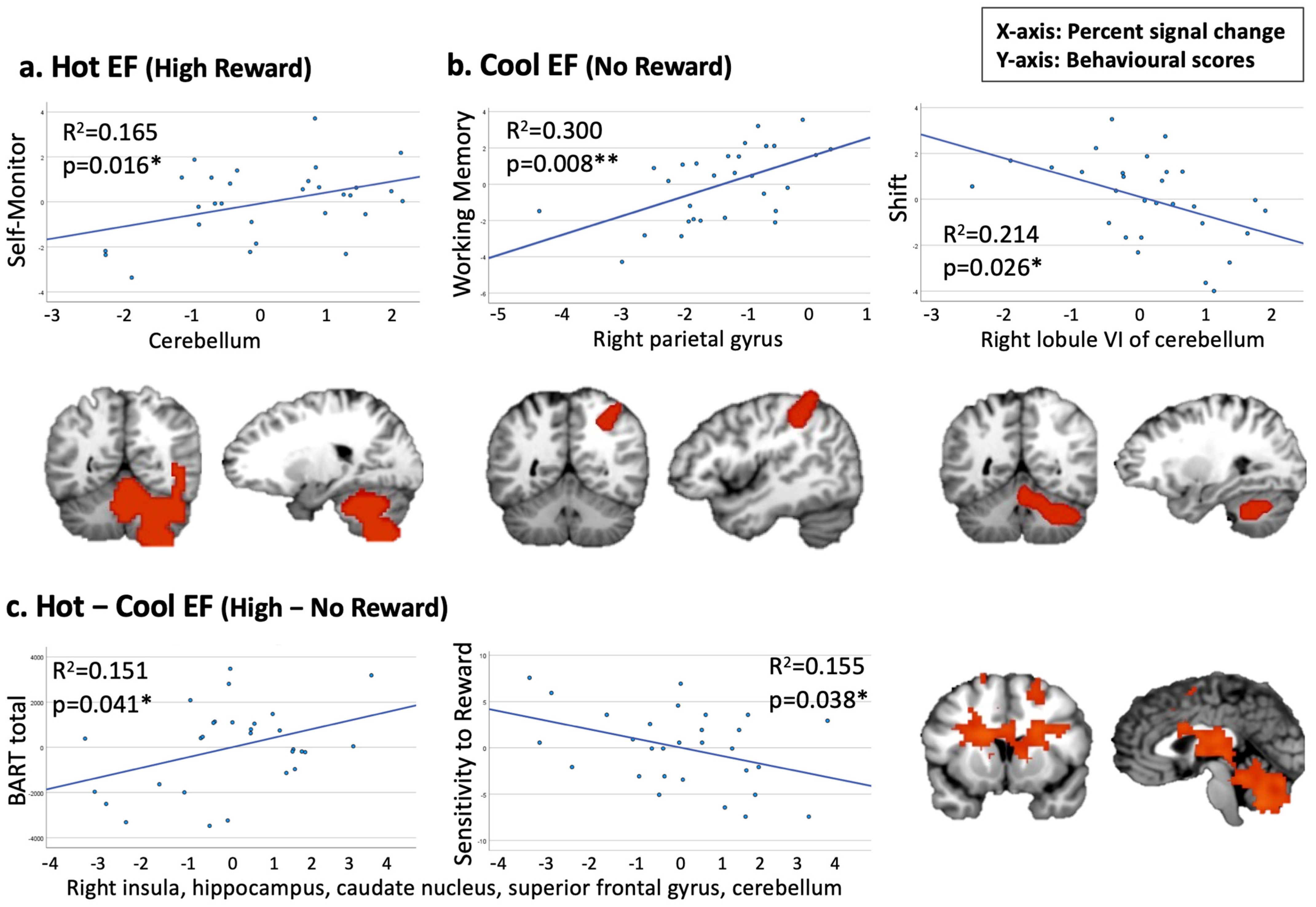 A Functional Magnetic Resonance Imaging Investigation of Hot