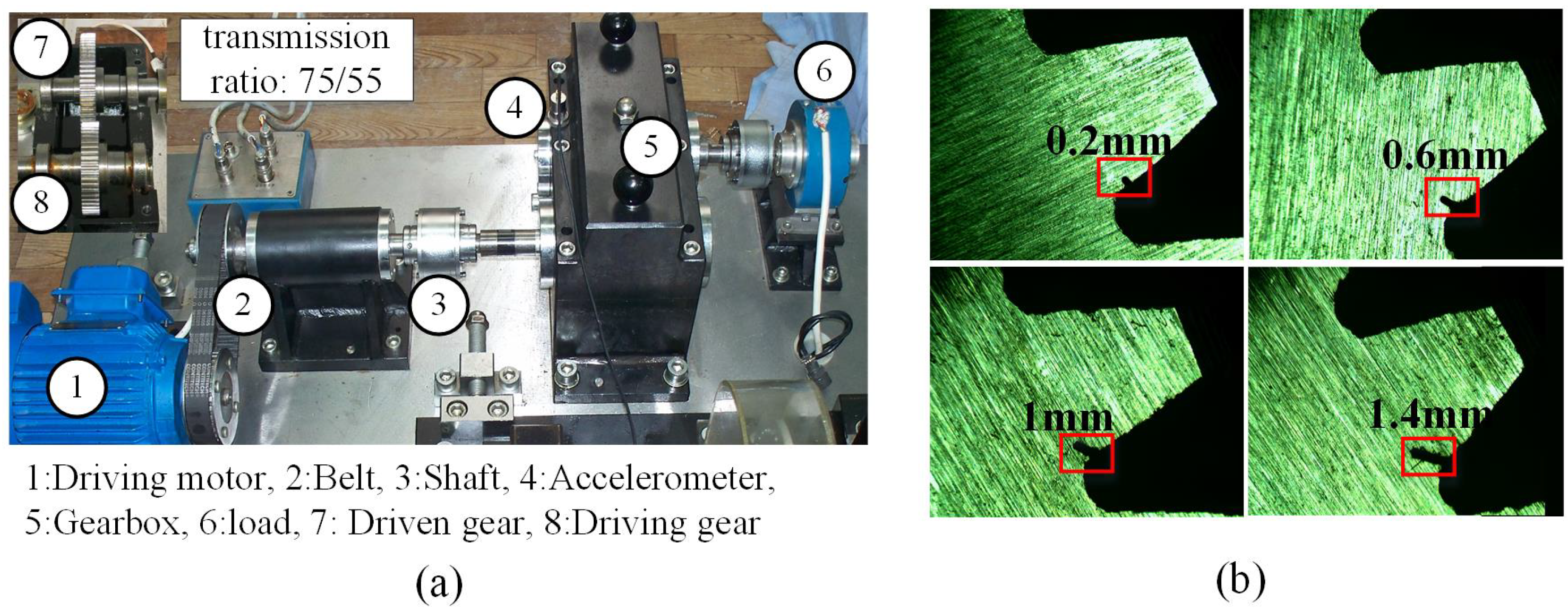 Sensors 25 00810 g005