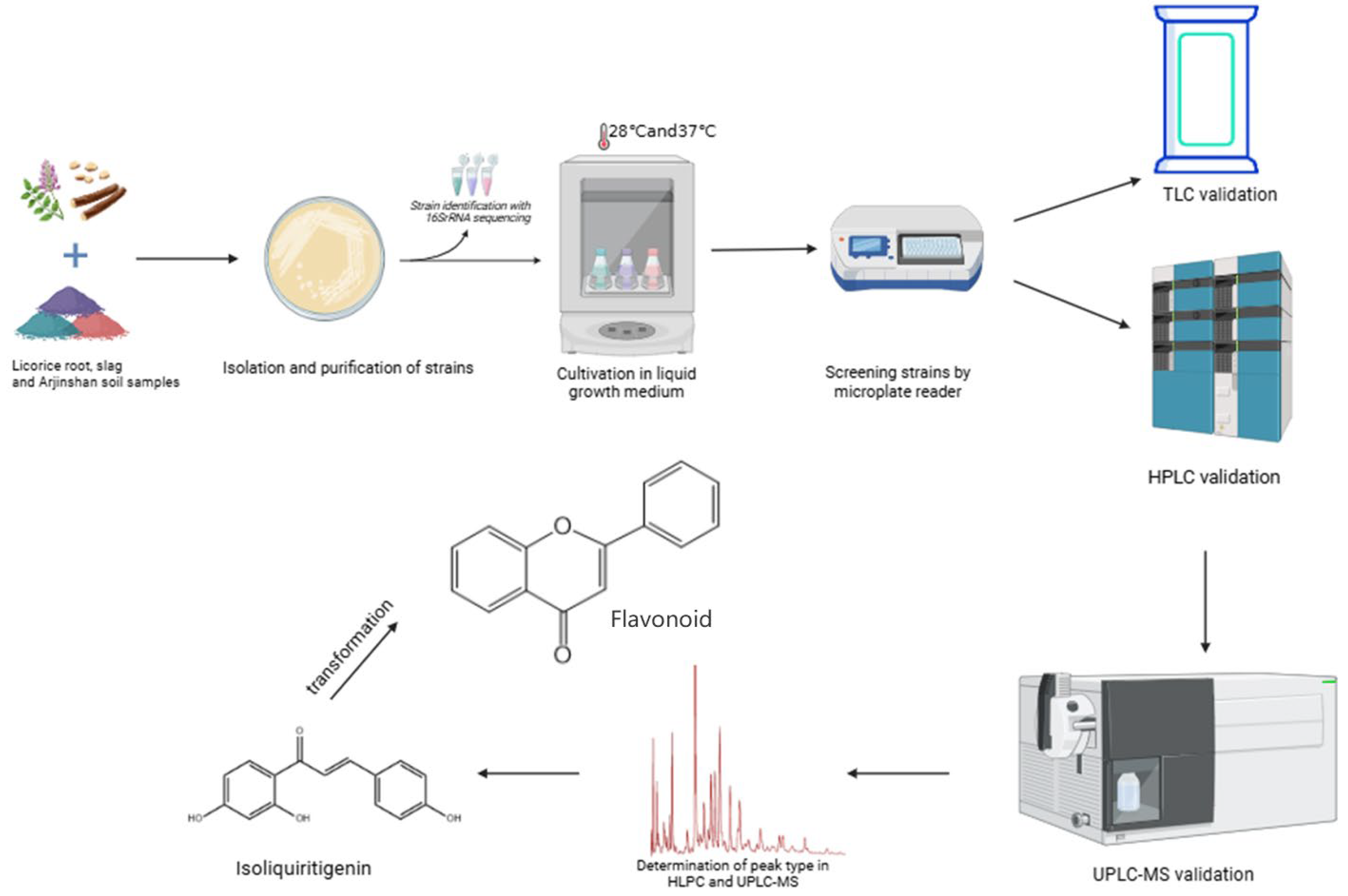 Sensors 25 00827 g002