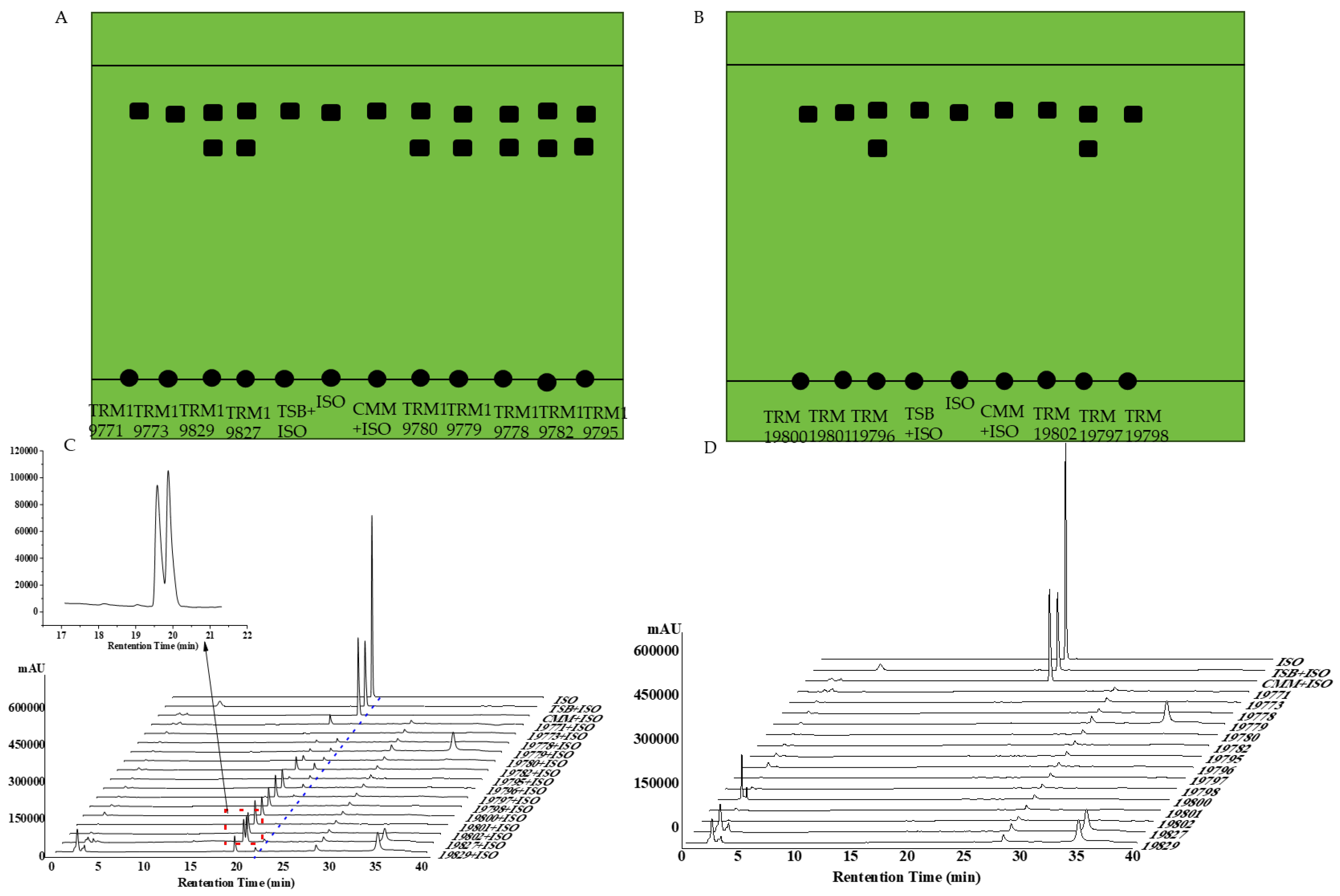 Sensors 25 00827 g008