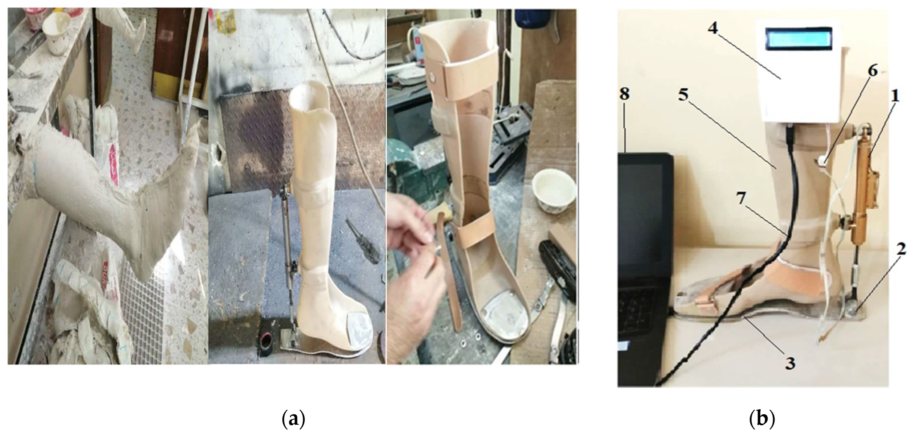 Sensors 25 00832 g005