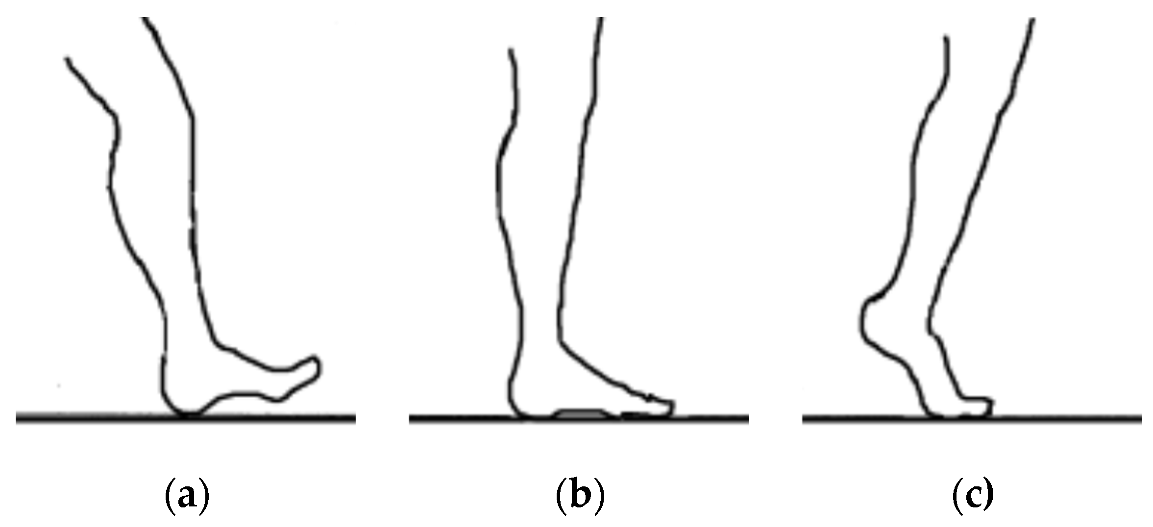 Sensors 25 00832 g010