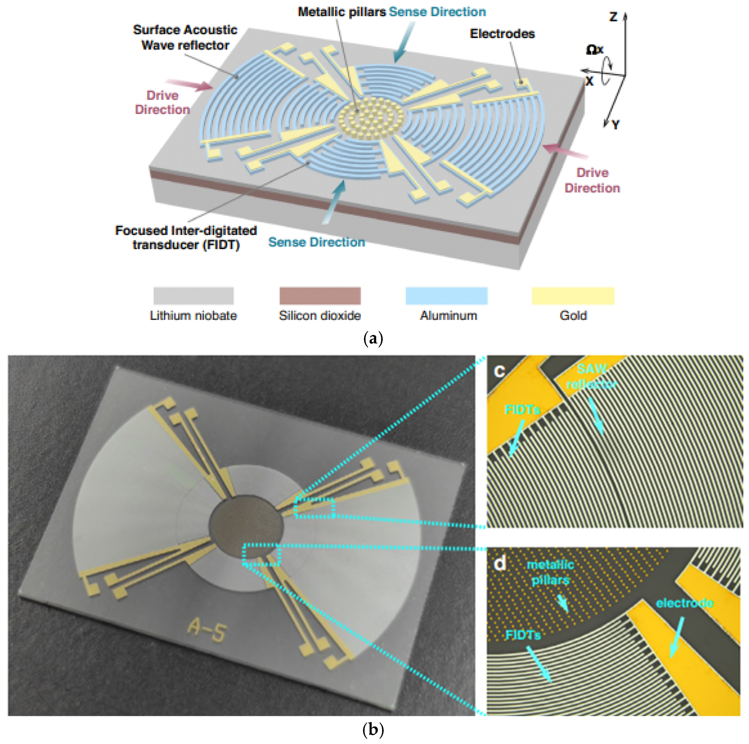 Sensors 25 00877 g009