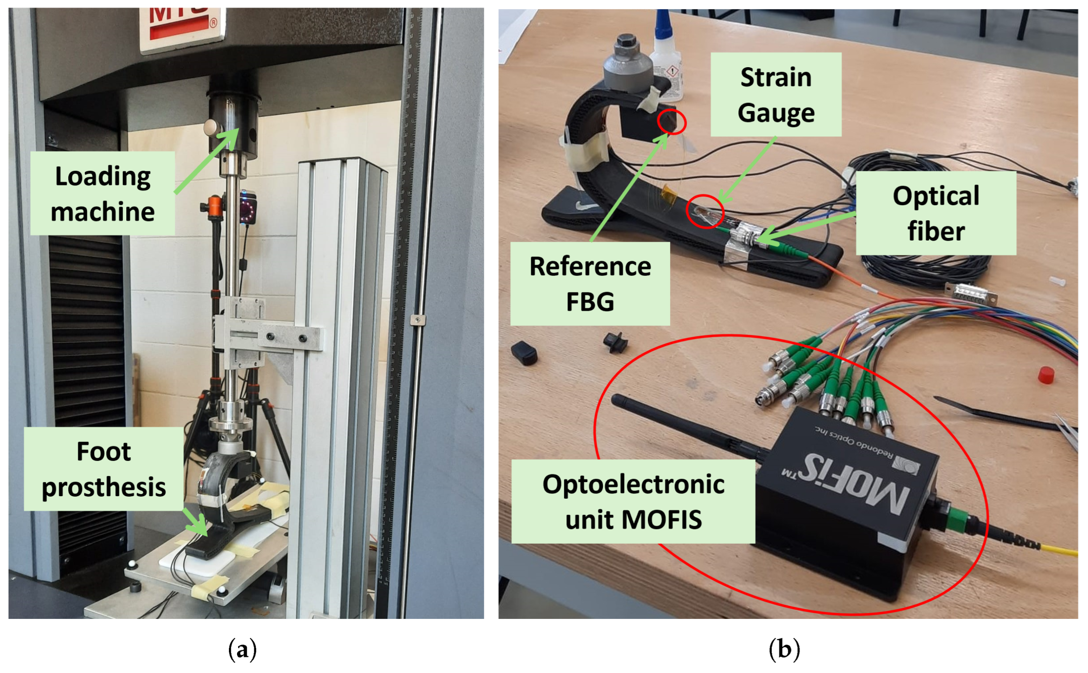 Sensors 25 00885 g003