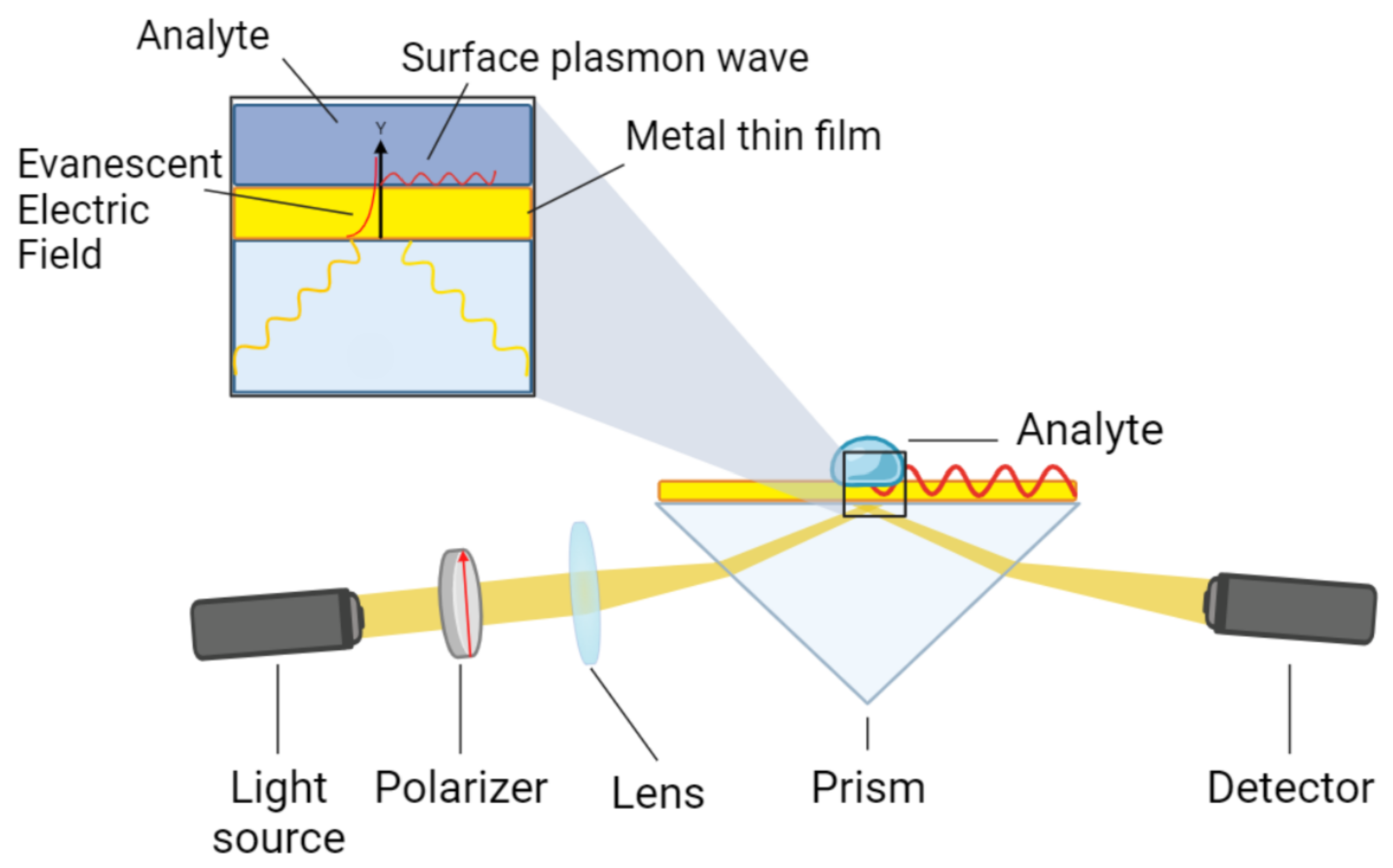 Sensors 25 00894 g001
