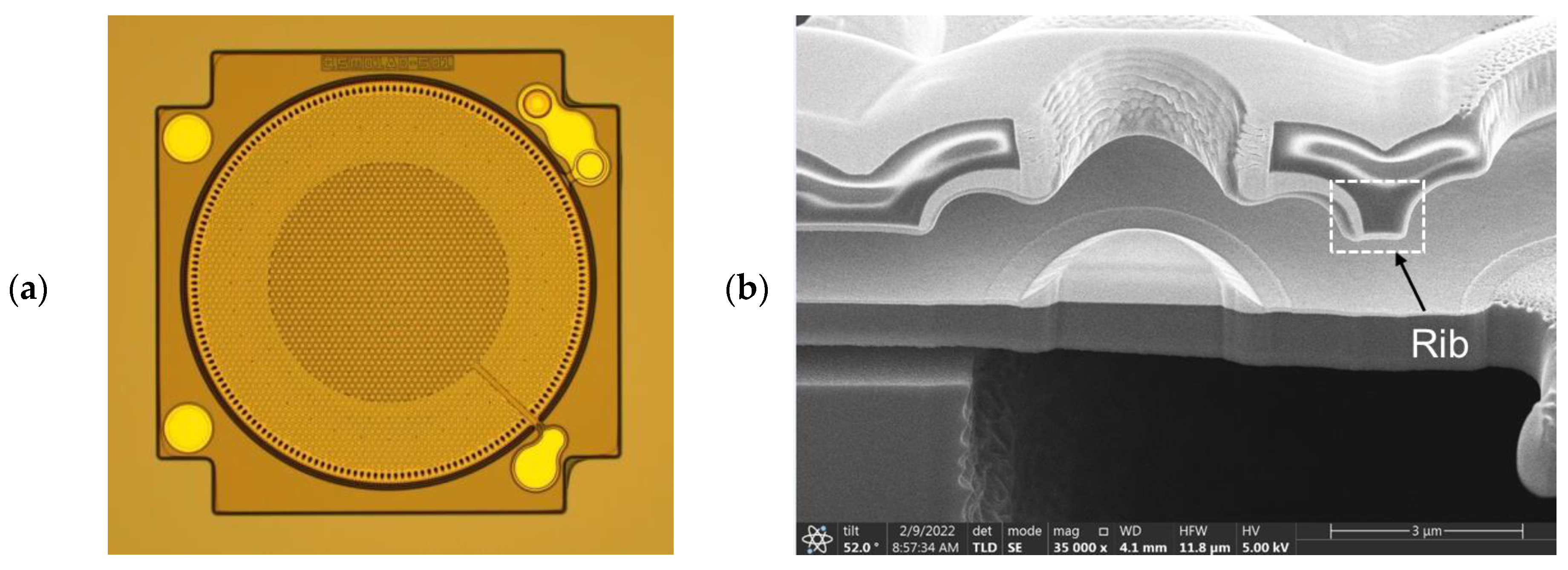 Sensors 25 00900 g010a