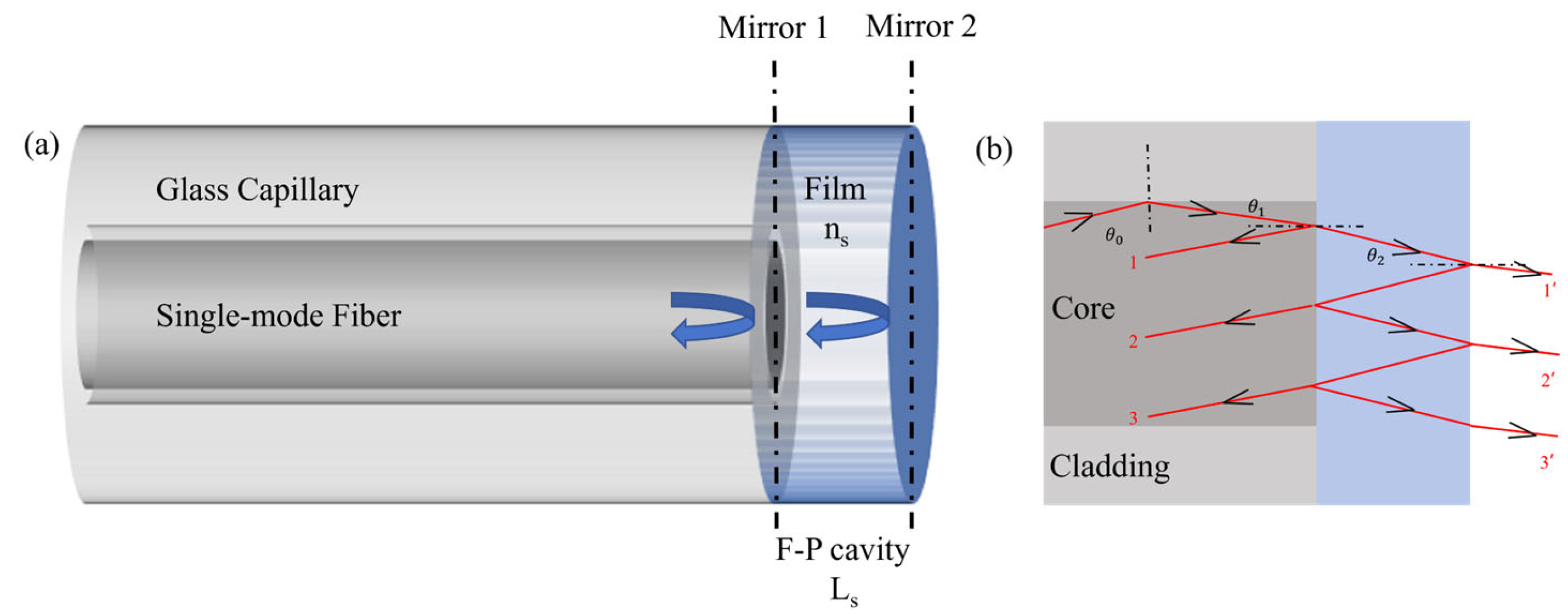 Sensors 25 00920 g001