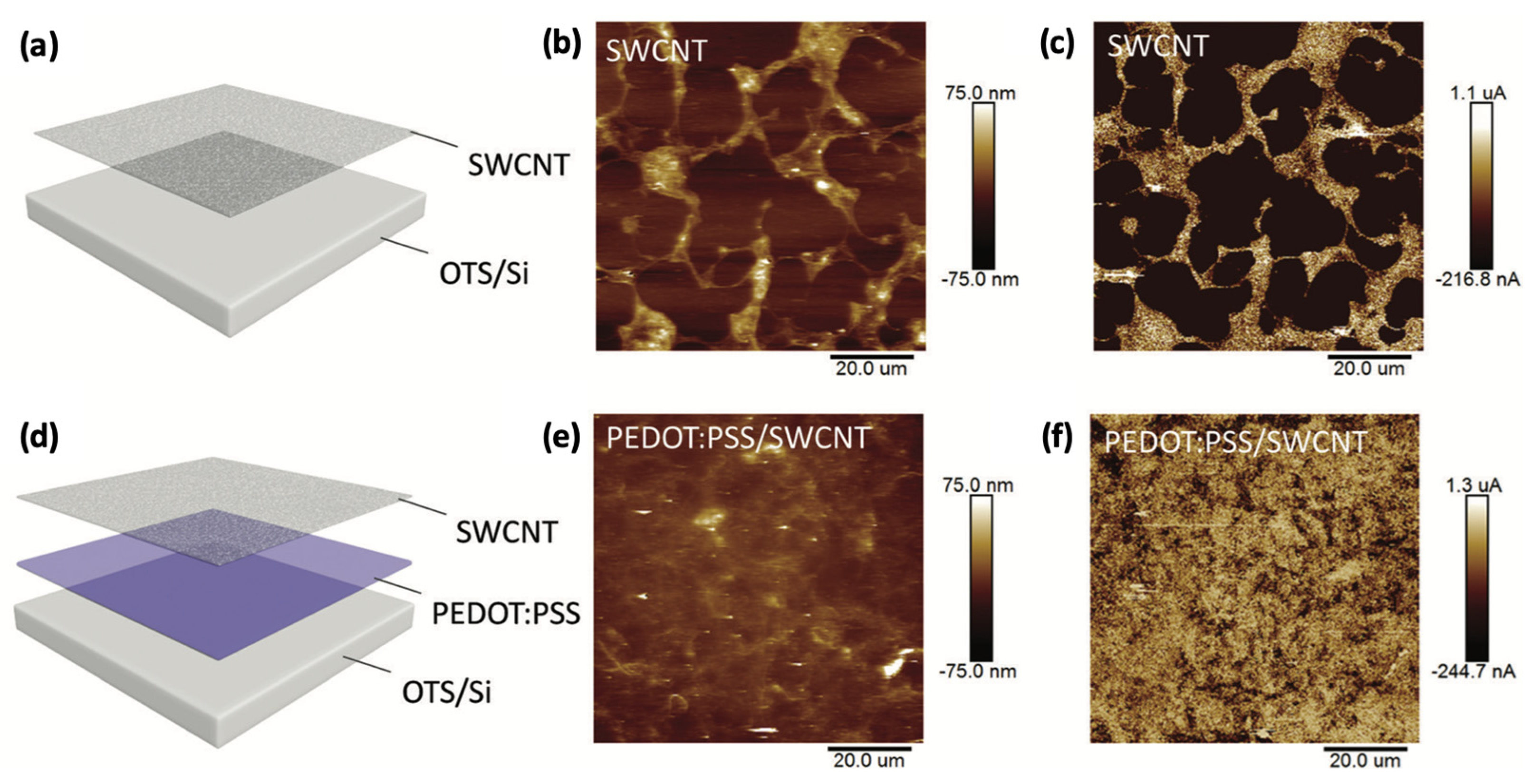 Sensors 25 00925 g005