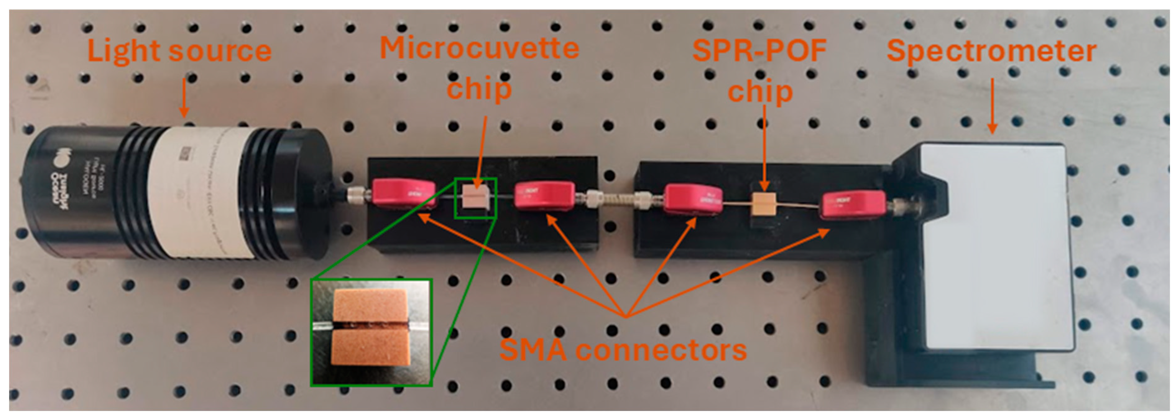 Sensors 25 00930 g001