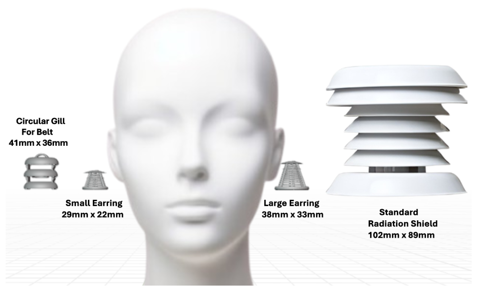 Sensors 25 00945 g005