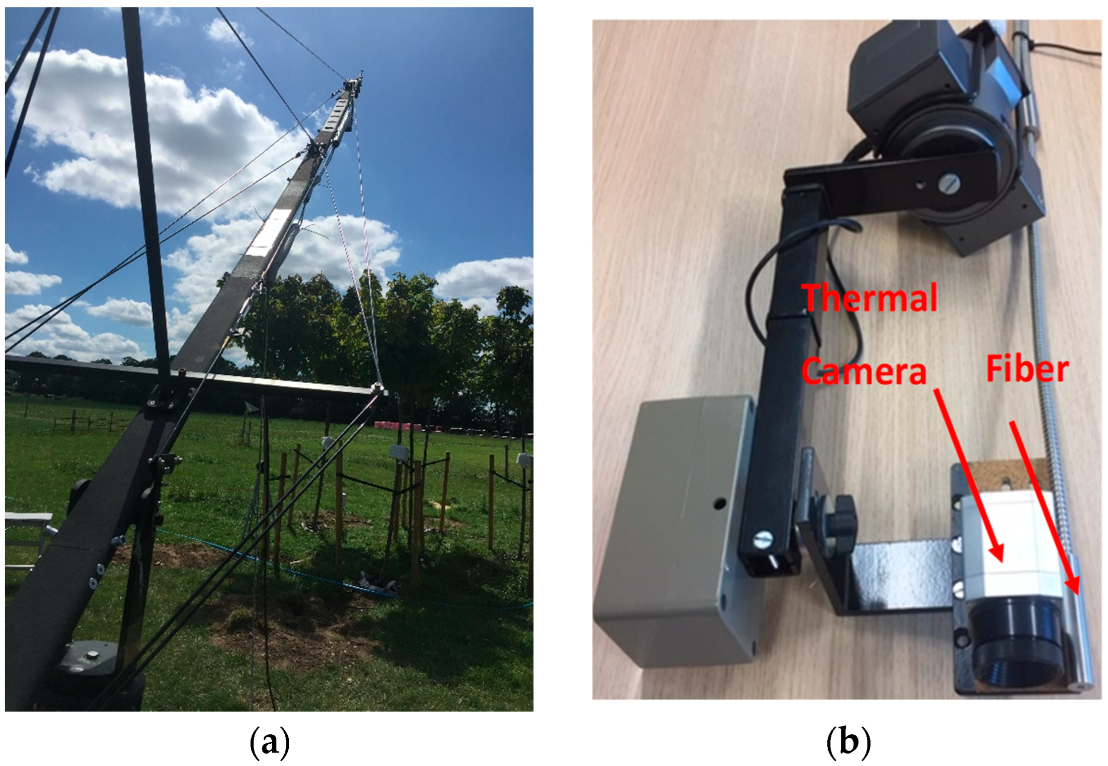 Sensors 25 00962 g001