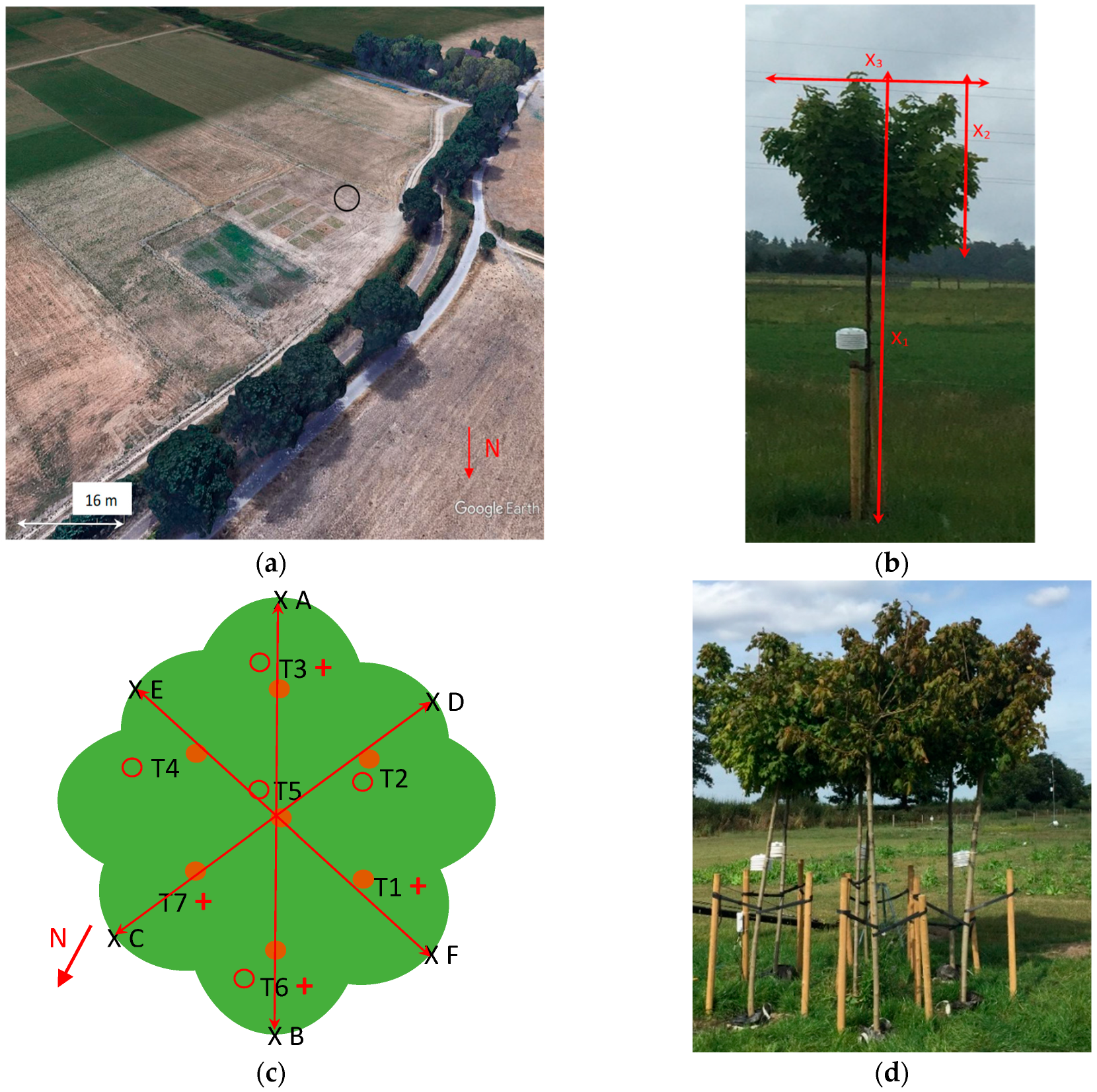 Sensors 25 00962 g002