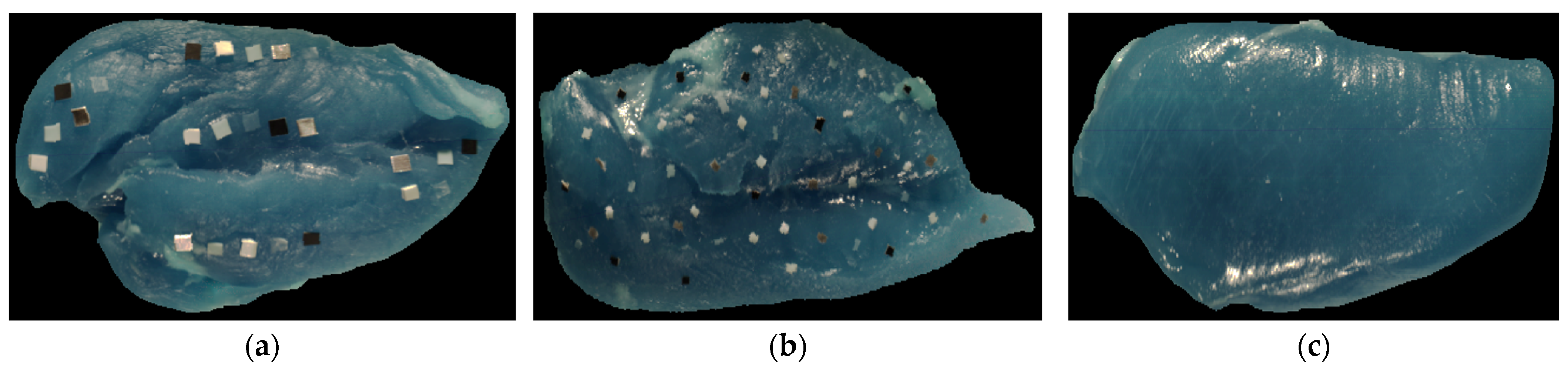 Sensors 25 00970 g001