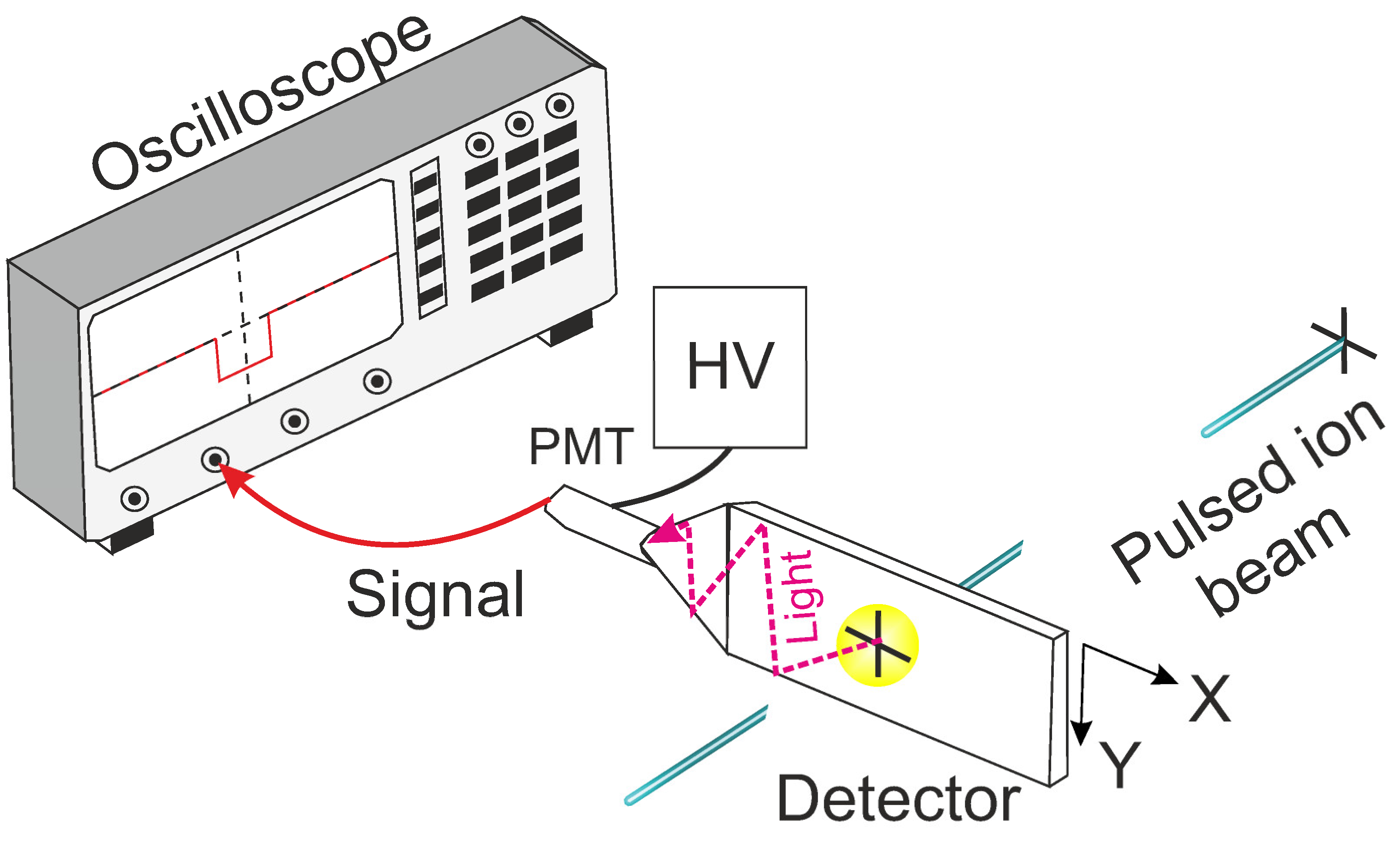 Sensors 25 00971 g005