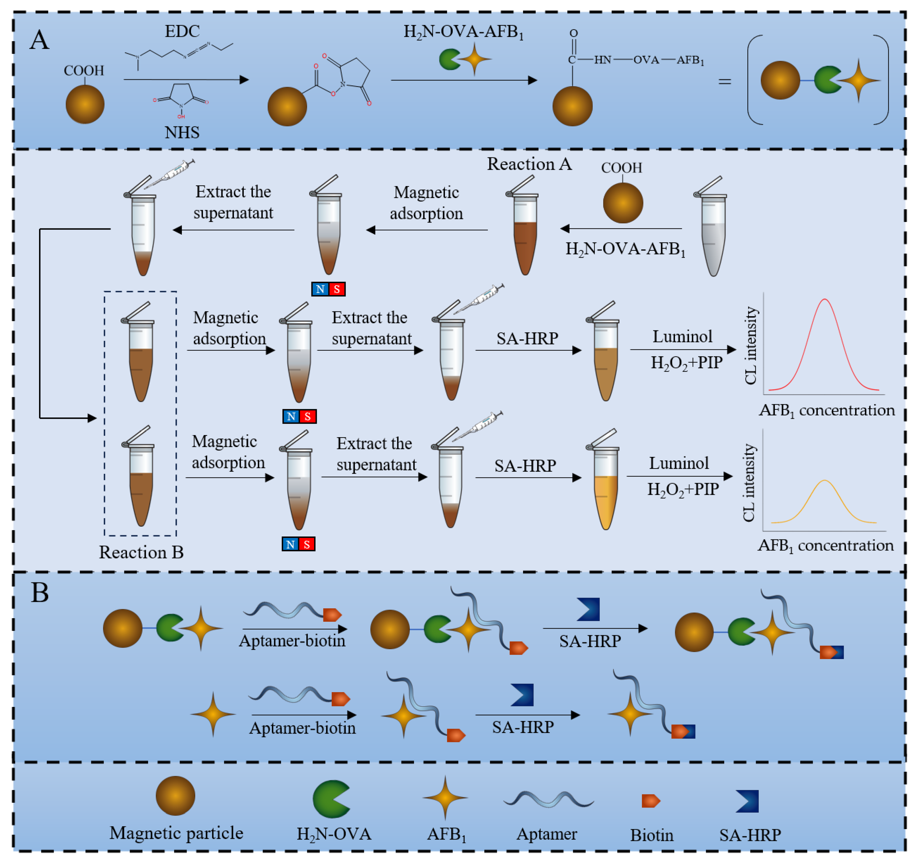 Sensors 25 00988 g001