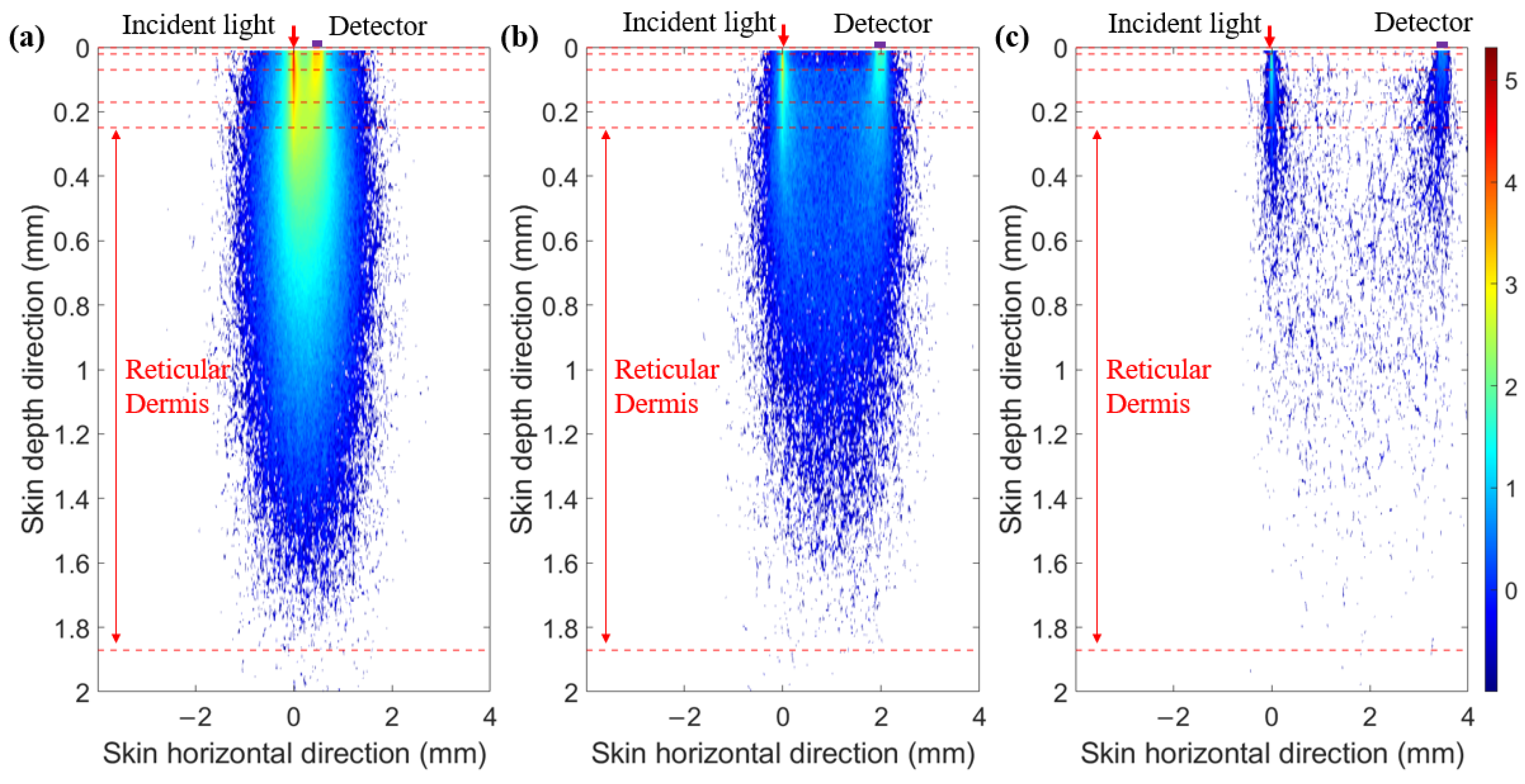 Sensors 25 00998 g004