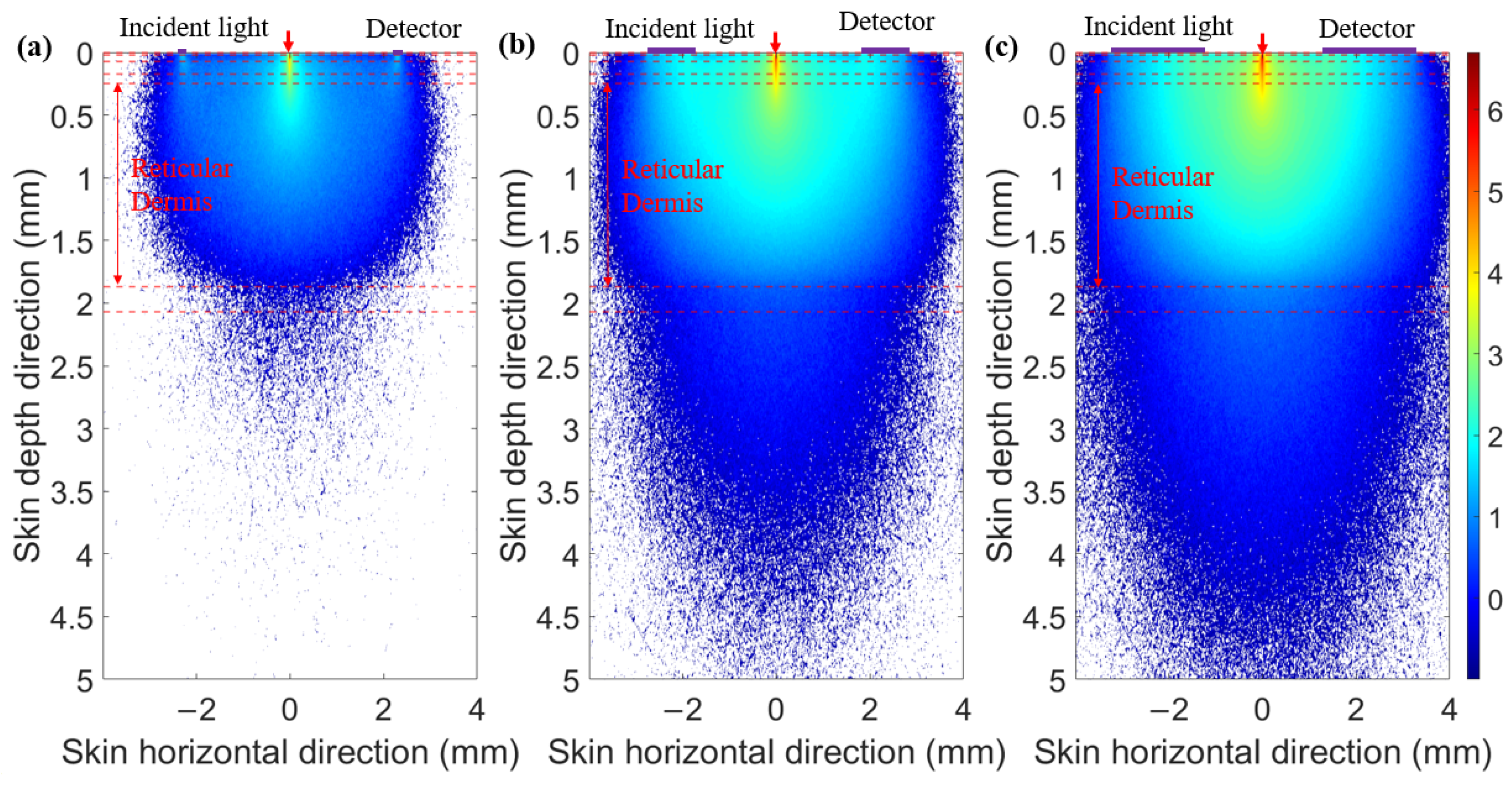 Sensors 25 00998 g008