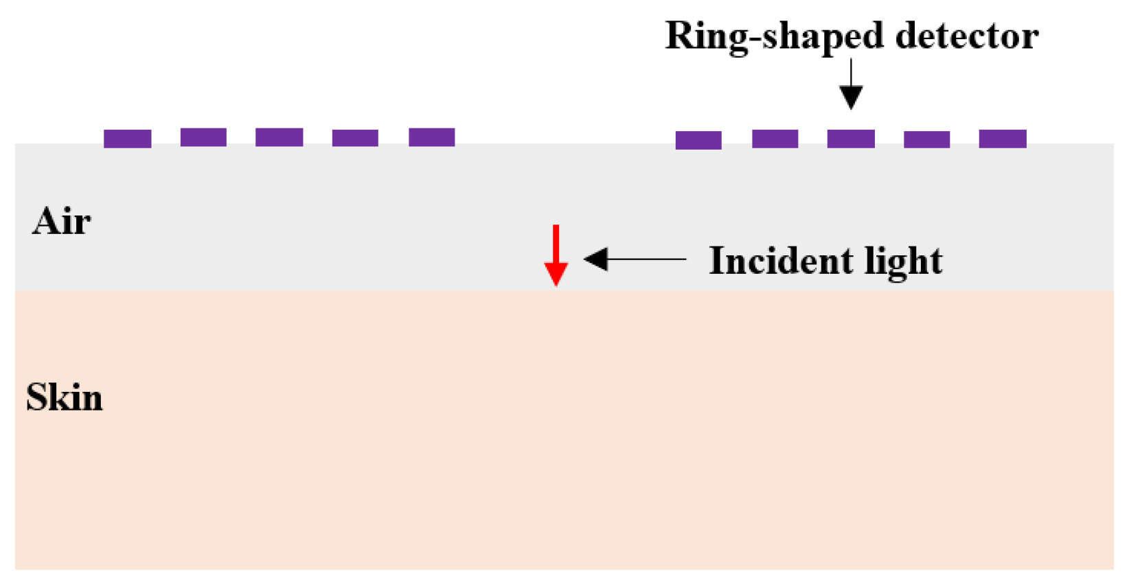 Sensors 25 00998 g013