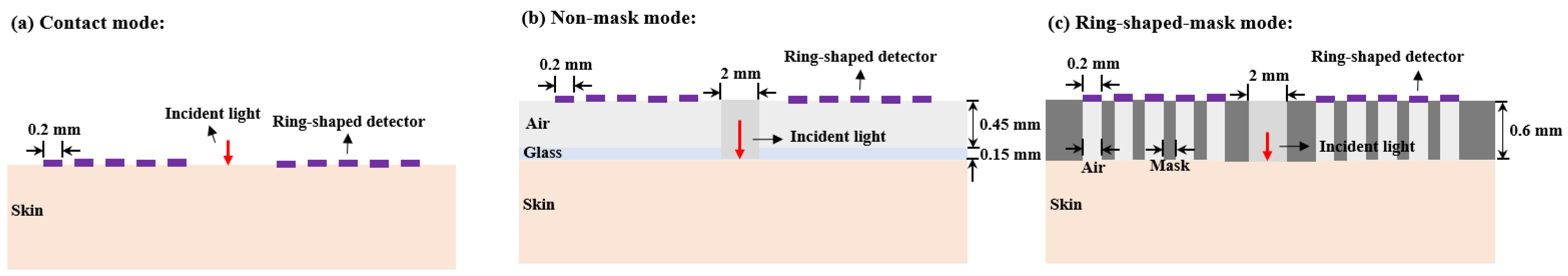 Sensors 25 00998 g017