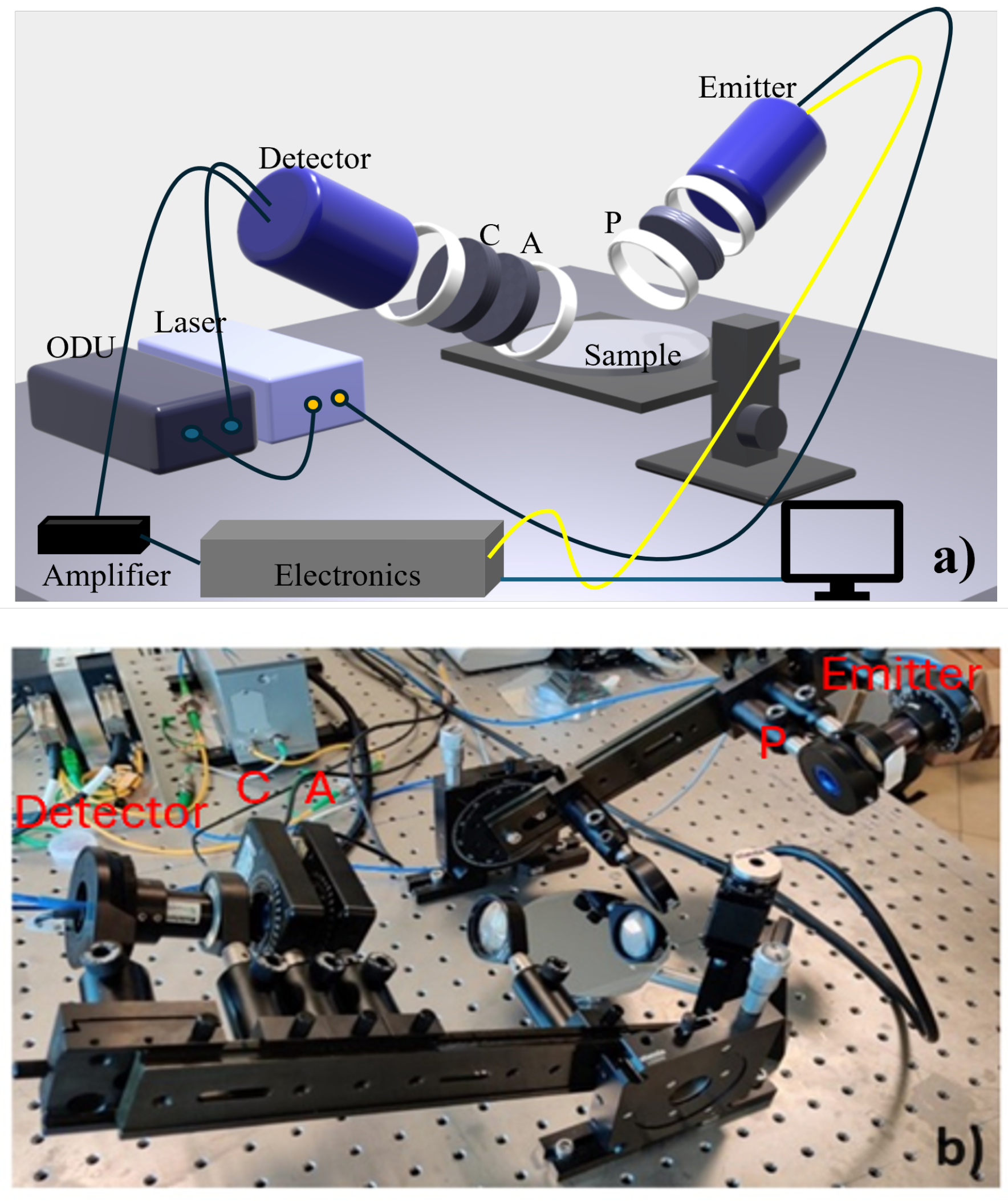 Sensors 25 01004 g001 Sensors 25 01004 g001